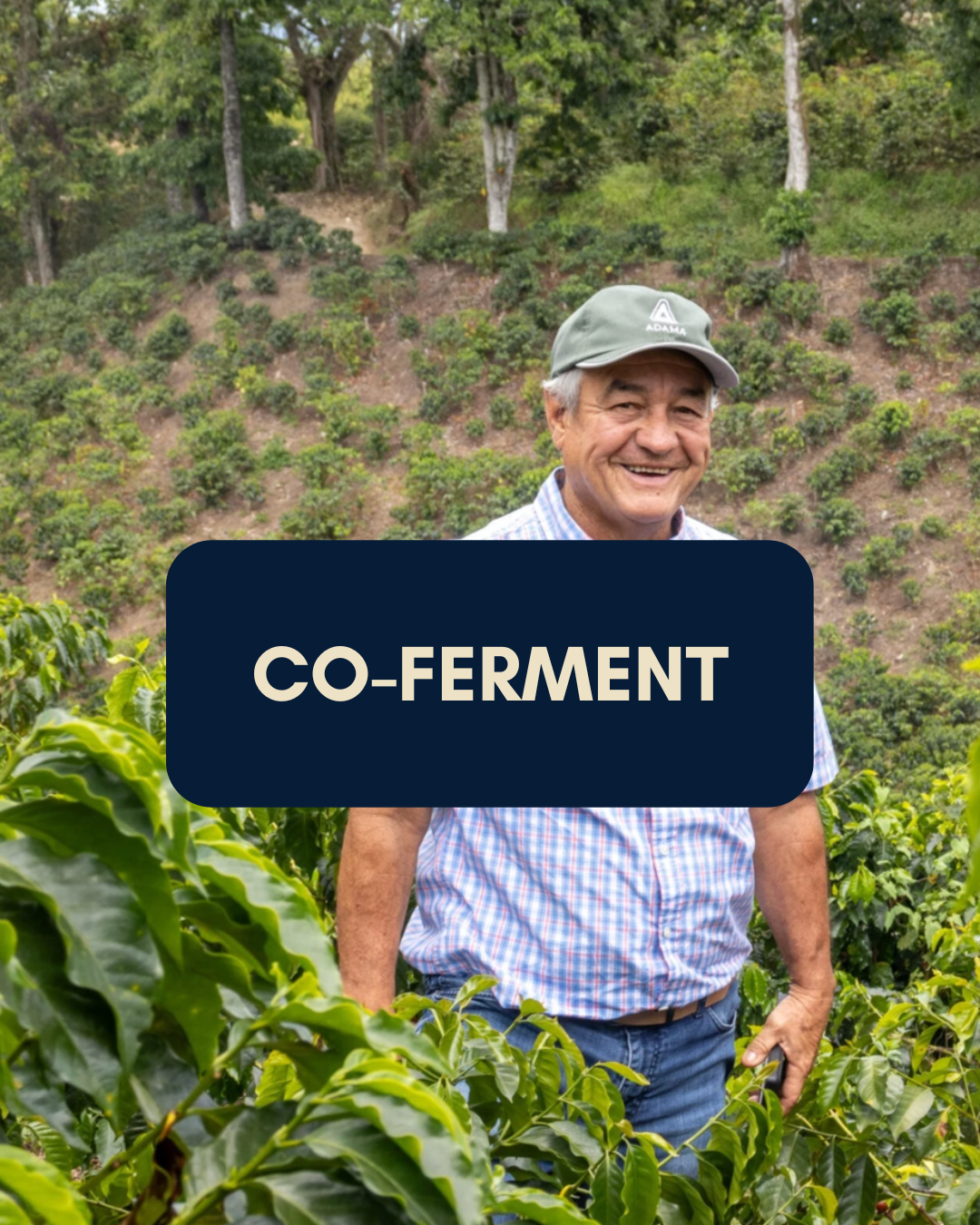 CO-FERMENT.png