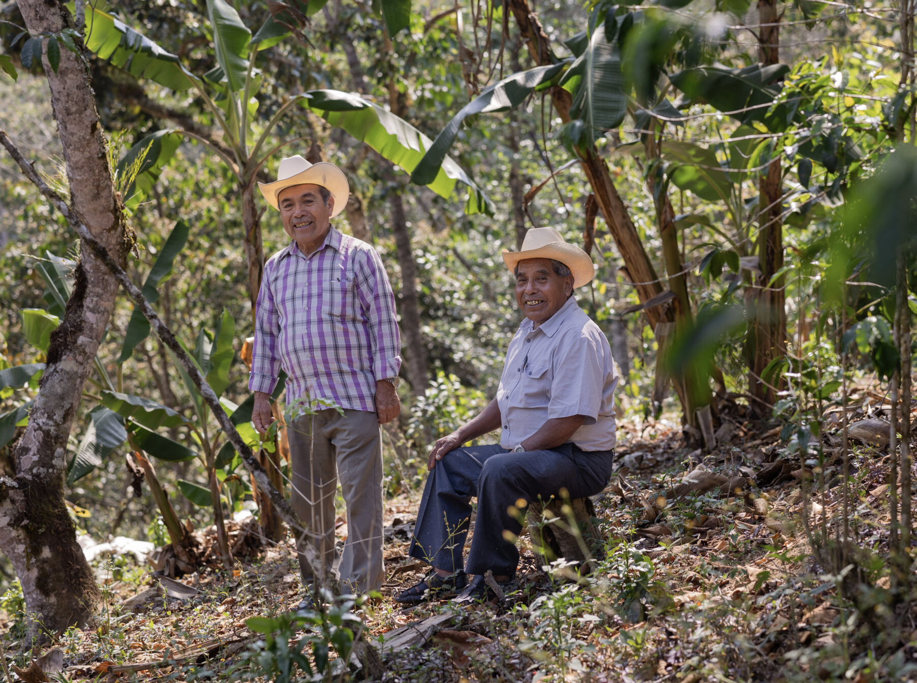 Screenshot 2025-10-03 at 13.19.15.png