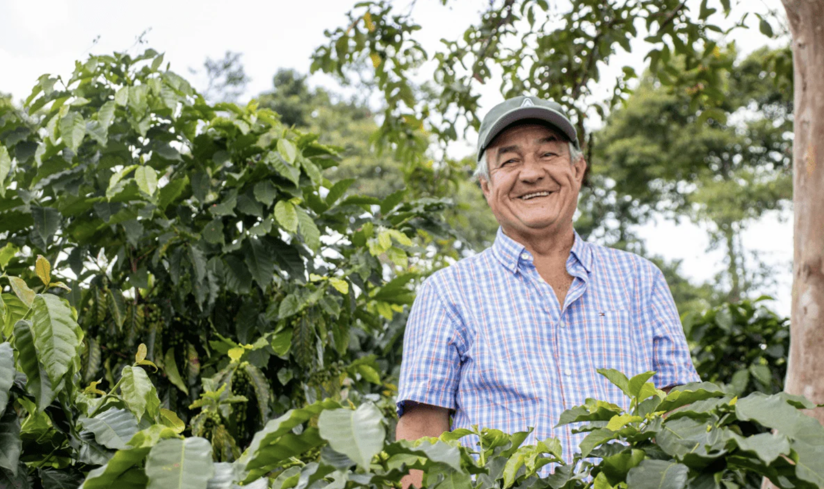 Screenshot 2026-04-29 at 12.34.09.png