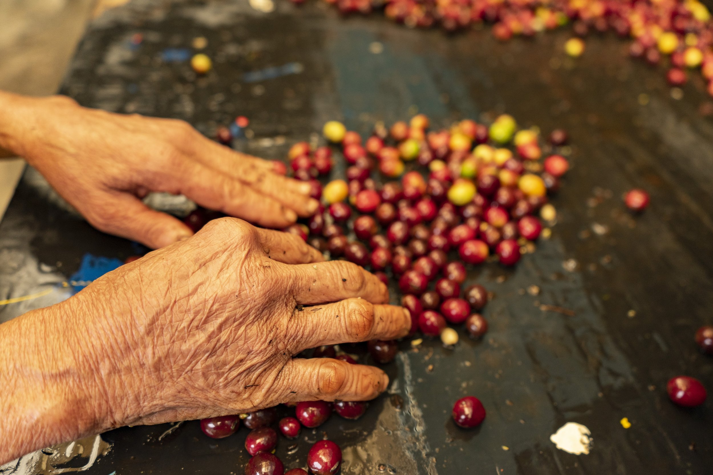 Villamaria decaf coffee