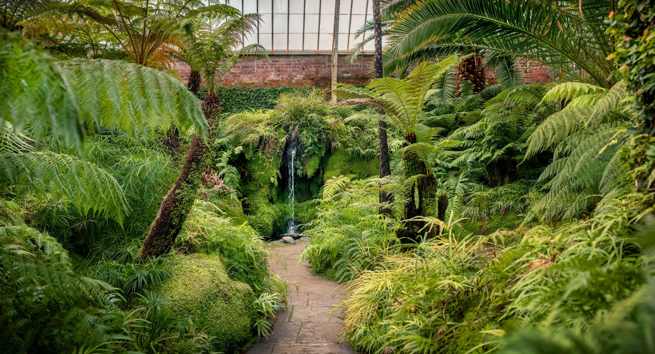 christopher-john-photography-the-fernery-at-tatton-park