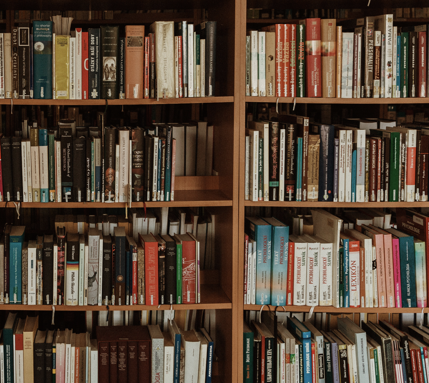 Bogklub: Dameklubben