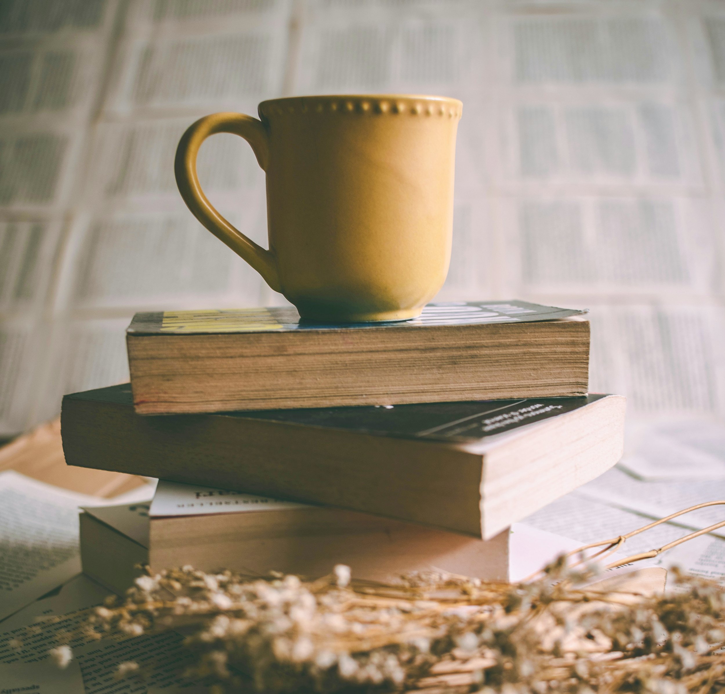 Litteratur til morgenmad: Verdens Vigtigste Bøger