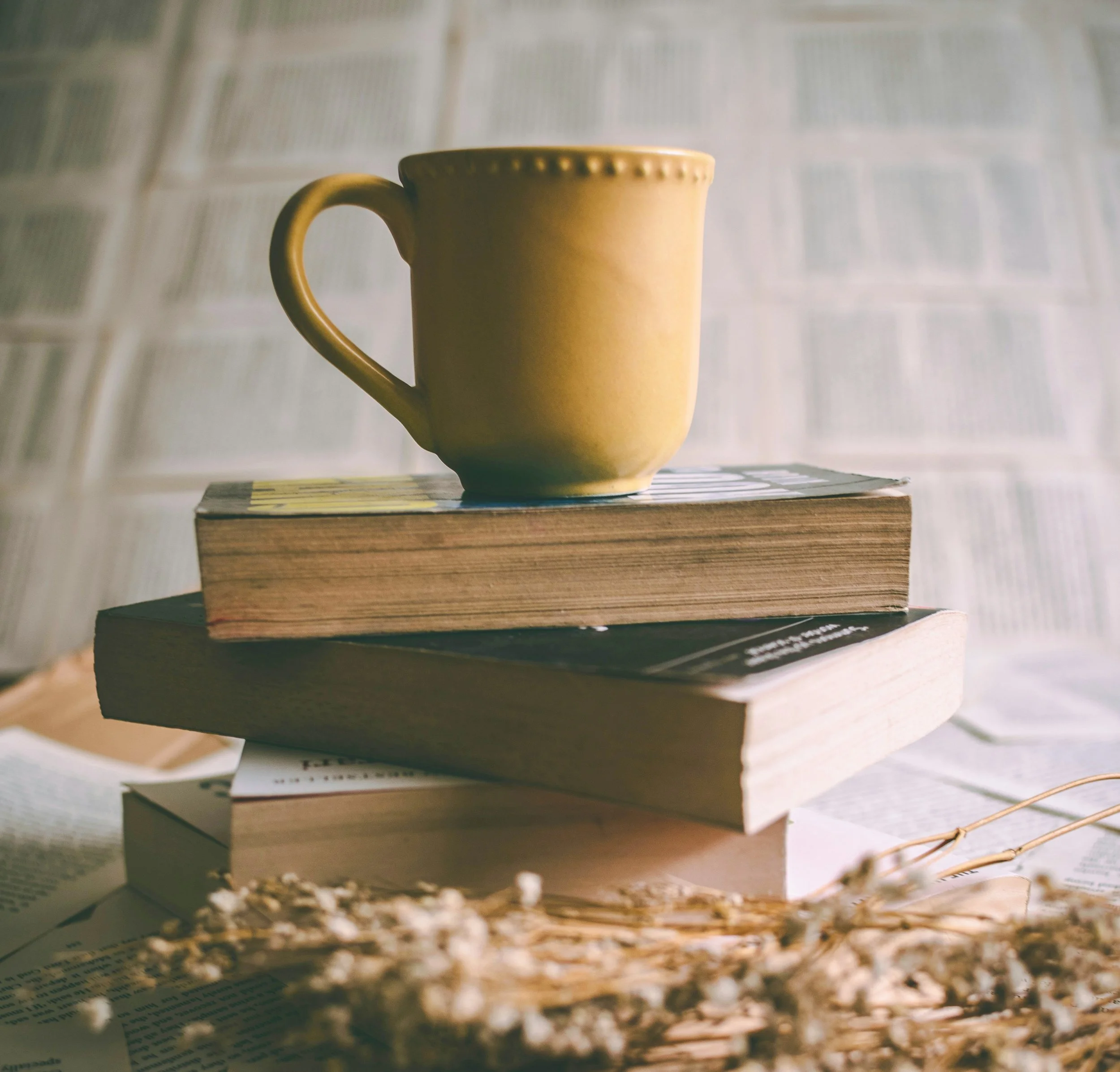 Litteratur til morgenmad: Brontë-søstrene