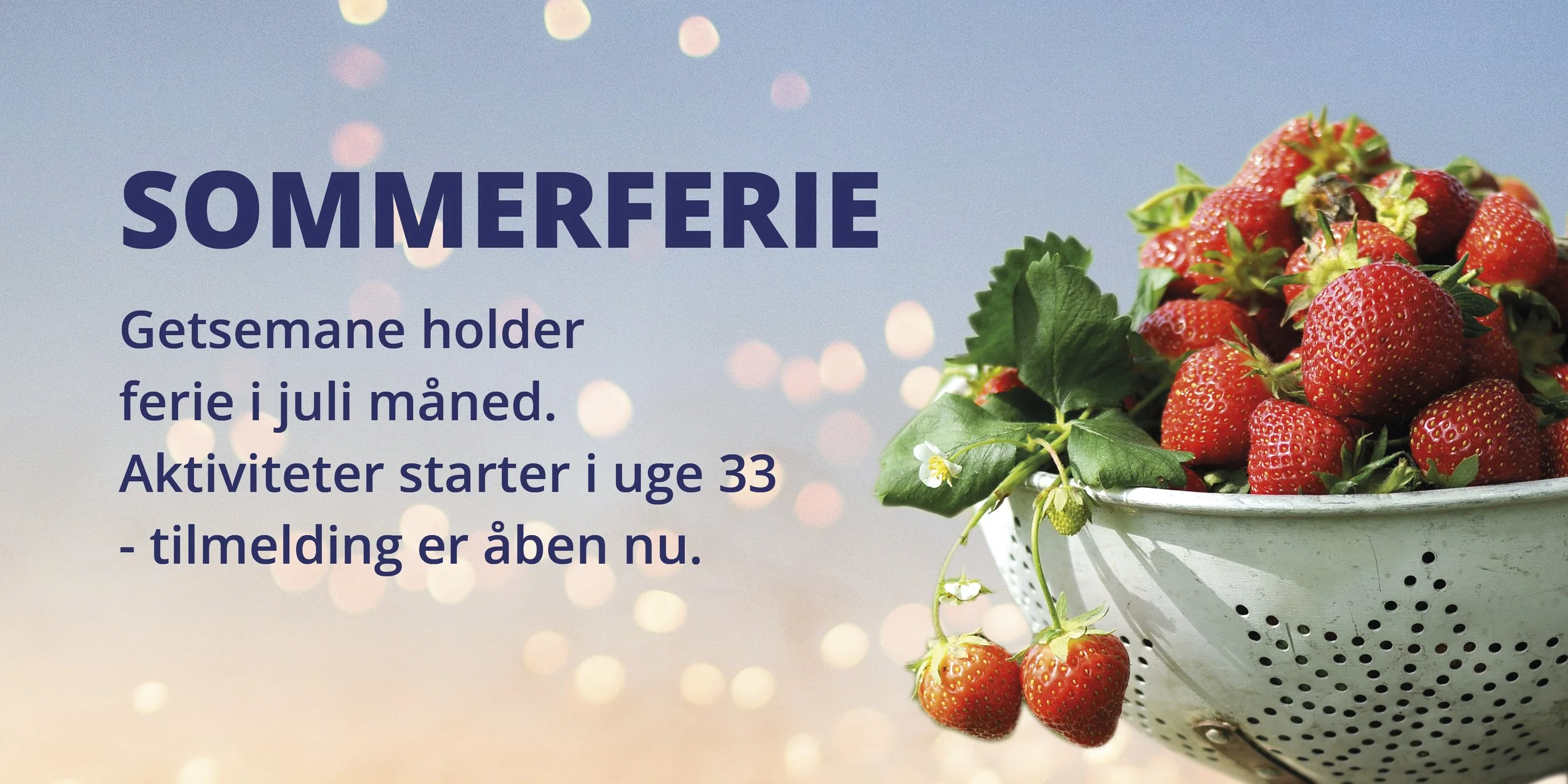 www forsidebillede - sommerferie.jpg