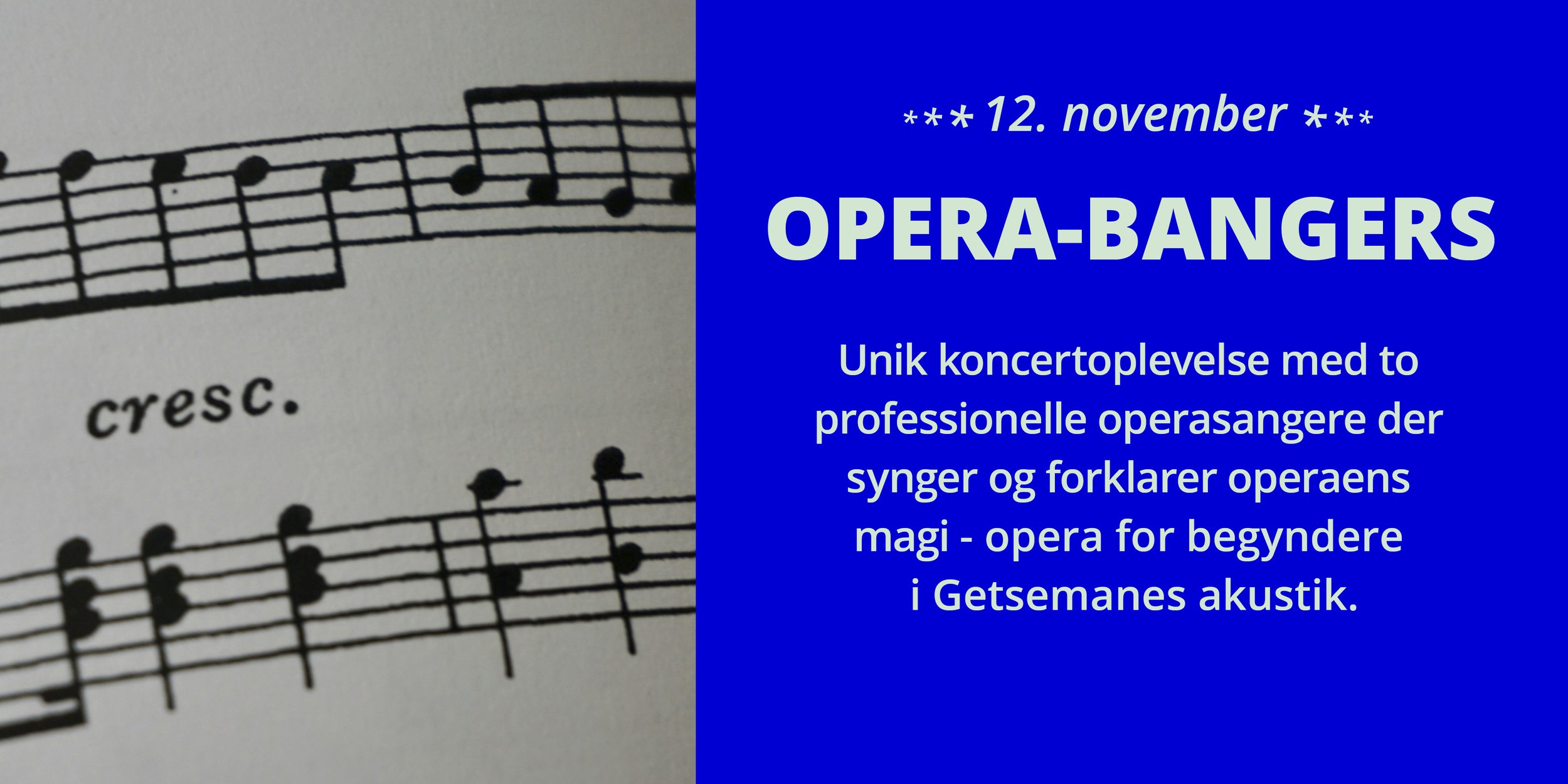 www forsidebillede efterår.jpg