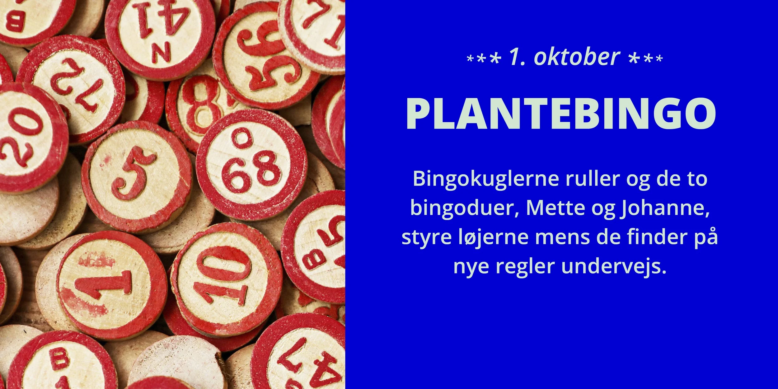 www forsidebillede efterår4.jpg