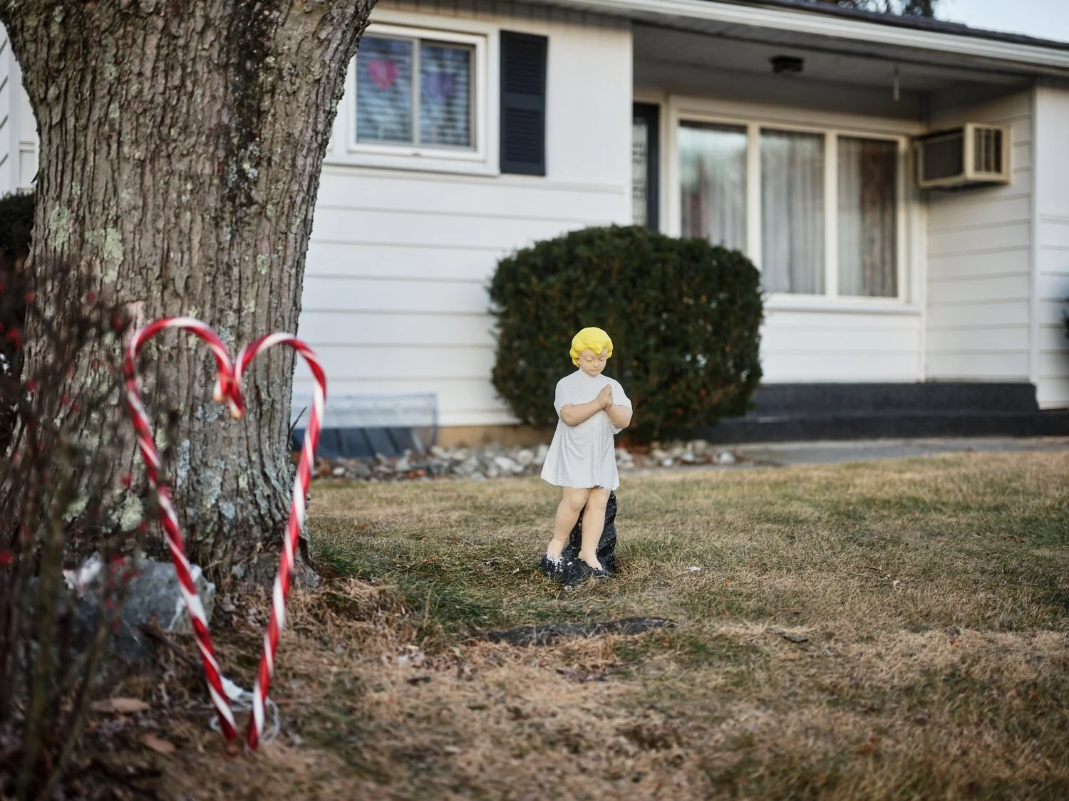 Yard with a small statue of a praying child, a candy cane shaped decoration near a tree, and a house with white siding, a bush, and windows in the background.