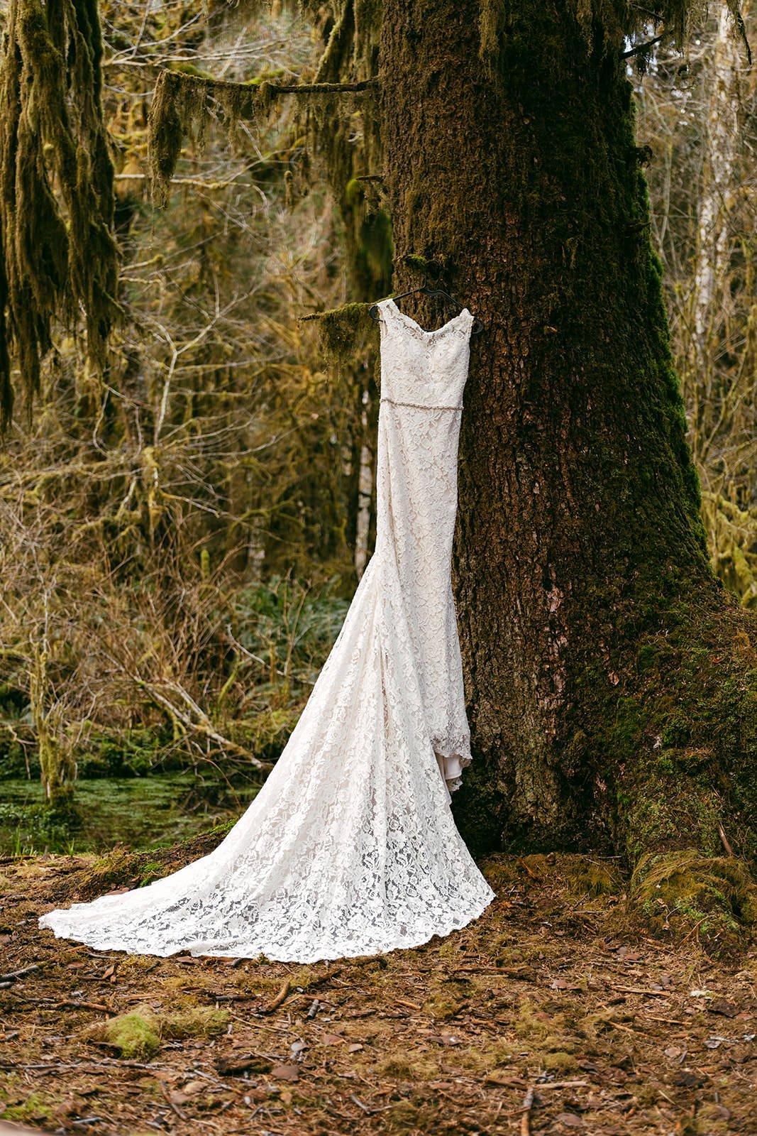 D&B-Olympic-National-Park-Elopement-17.jpg