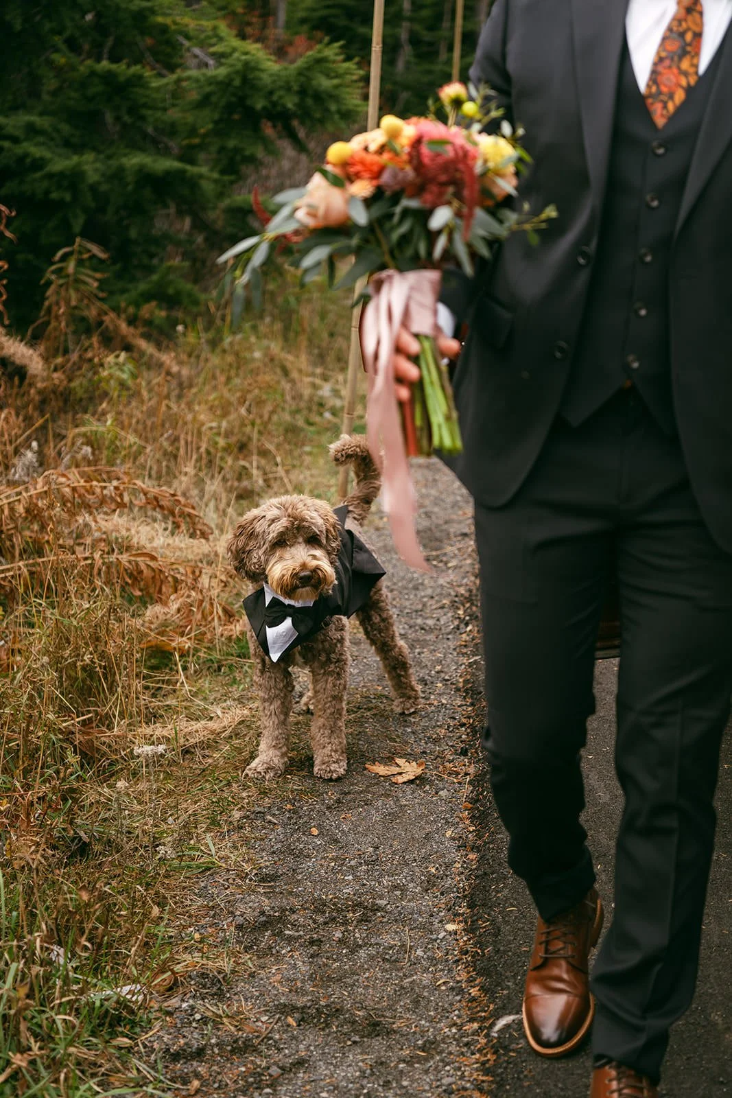 Ceinwen&Christopher-Elopement-9.jpg