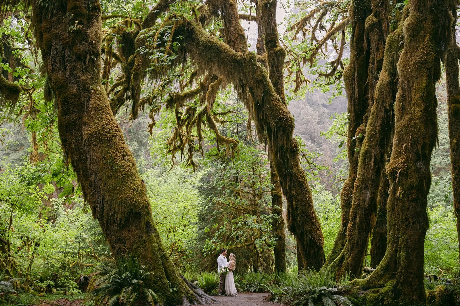 How to Elope in the Hoh Rainforest