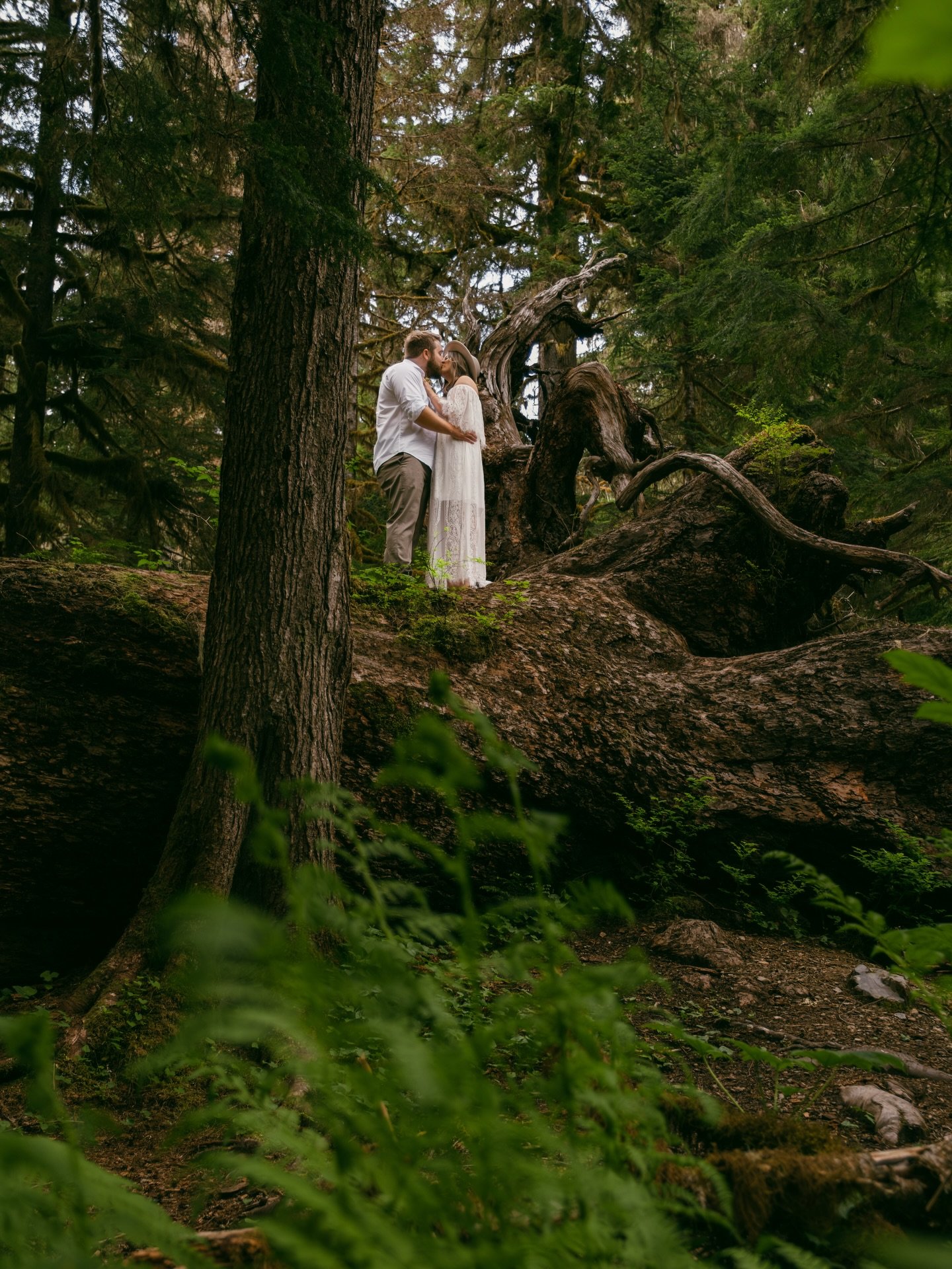 This week I showed another photographer this stand of ancient giants&mdash;the largest trees in the North Cascades&mdash;hidden just off an unmarked trail nearby where I live.

This fallen giant has a flat top&mdash;perfect for strolling along&mdash;