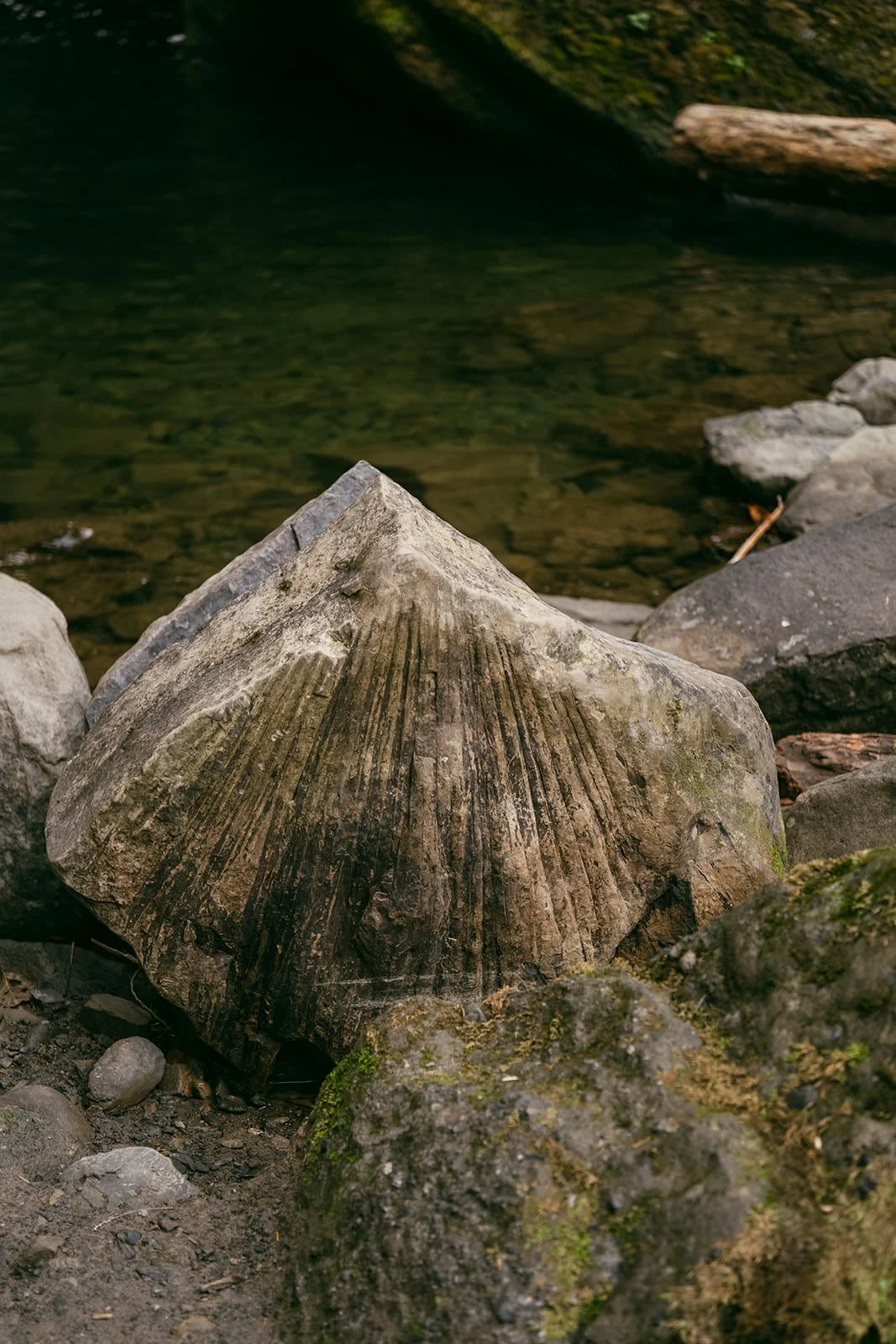 Mount-Baker-Engagement-55.jpg