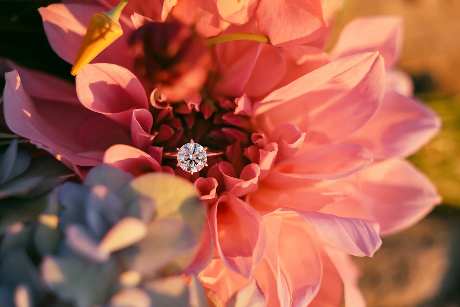 Flat Lay Wedding Detail Photos