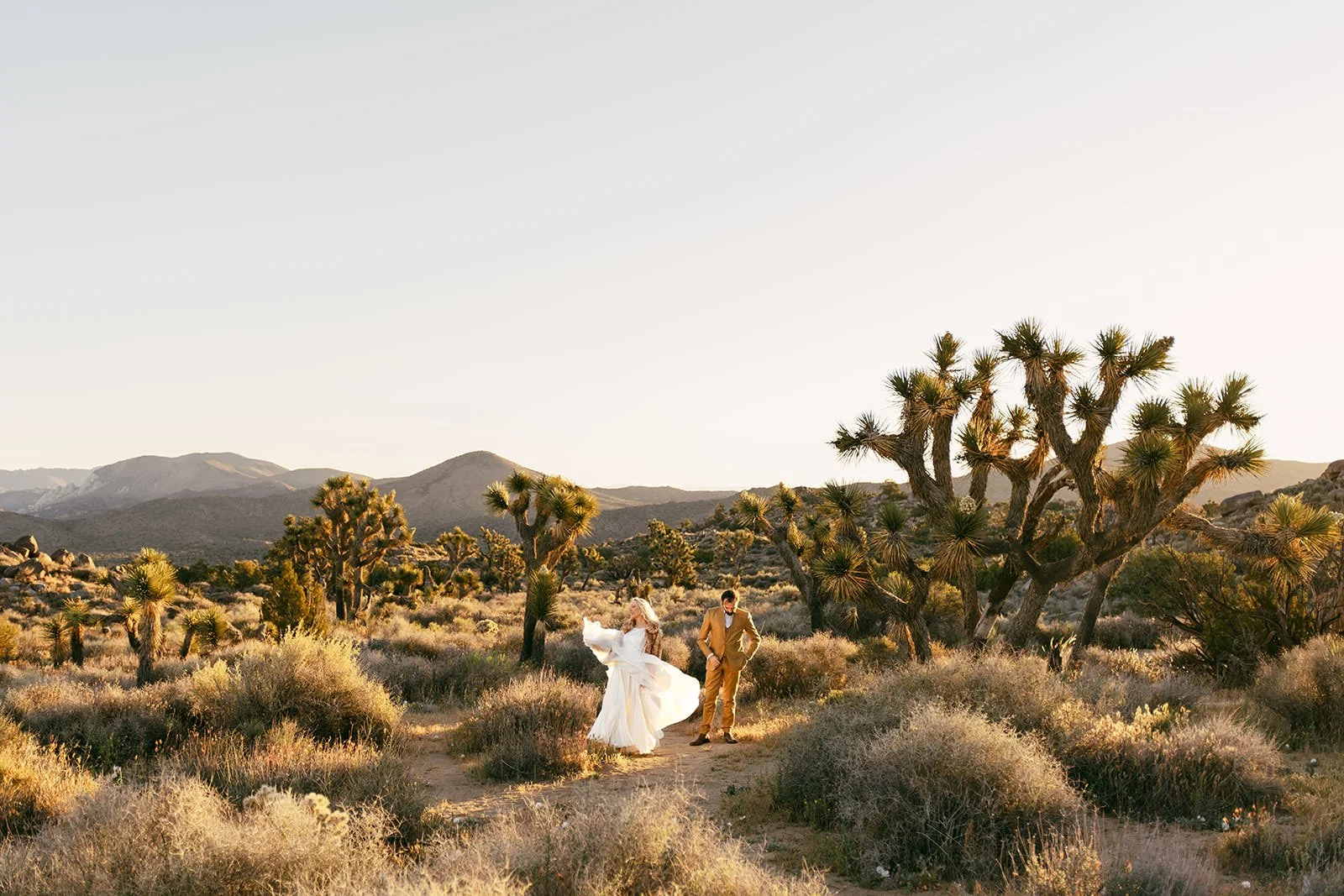 Joshua-Tree-Elopement-Photography-163.jpg