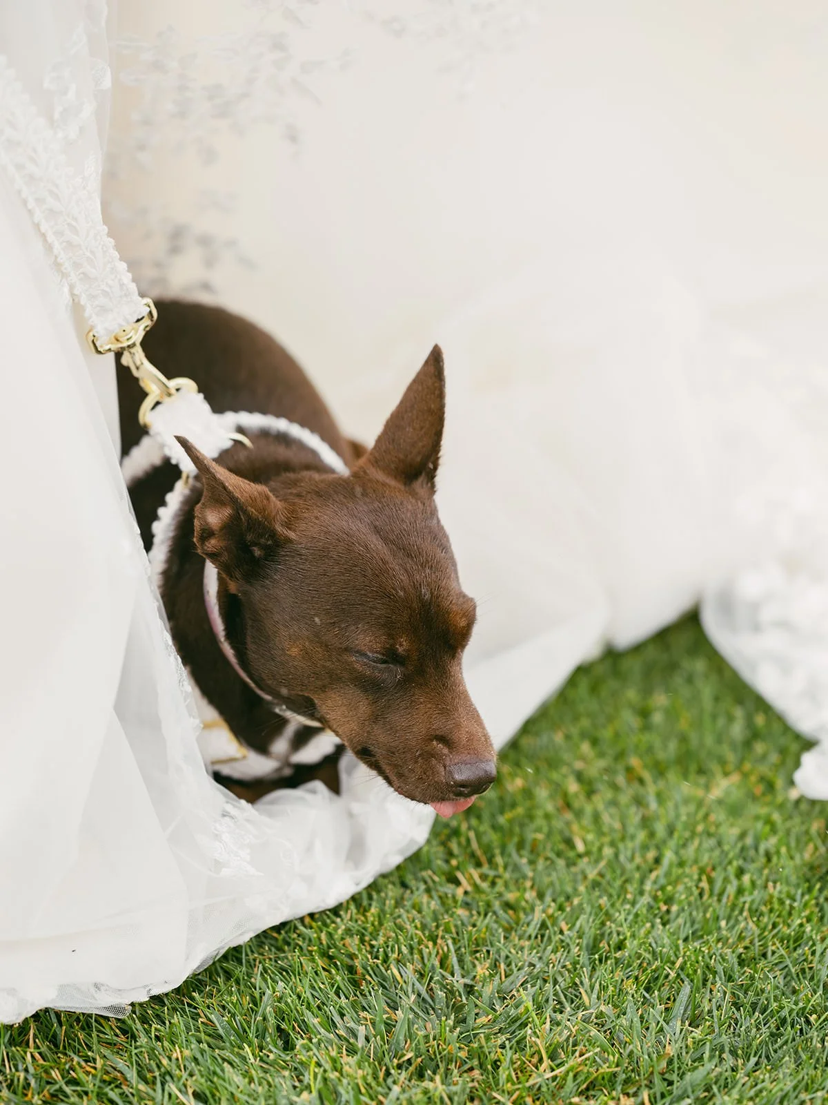 Hotel-Luna-Mystica-Wedding-101.jpg