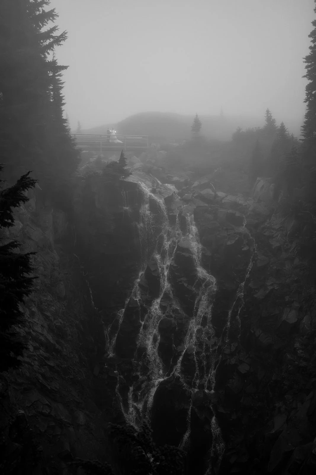 Wild Coast Photography-7.jpg