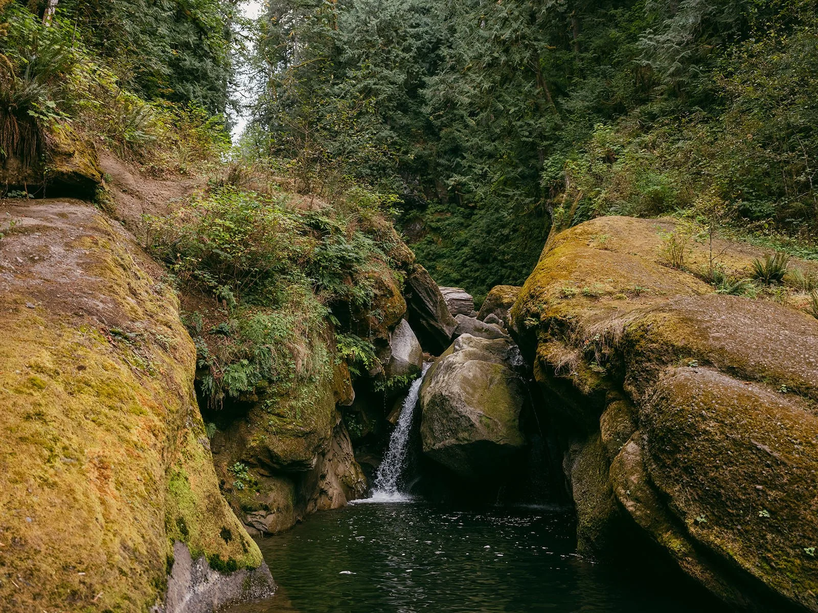 Mount-Baker-Engagement-54.jpg