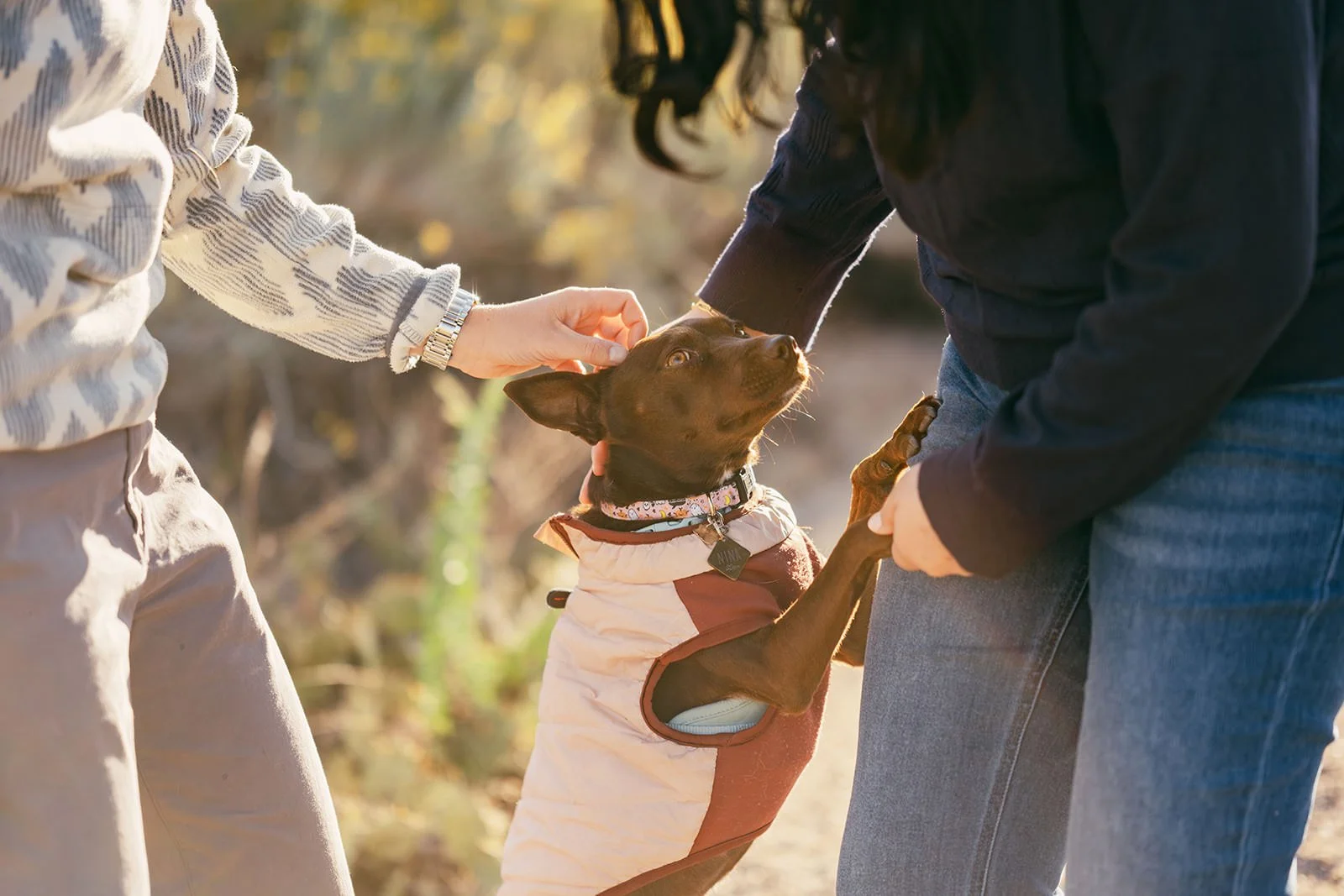 Karla&Karen_Engagement_WildCoastPhoto-253.jpg