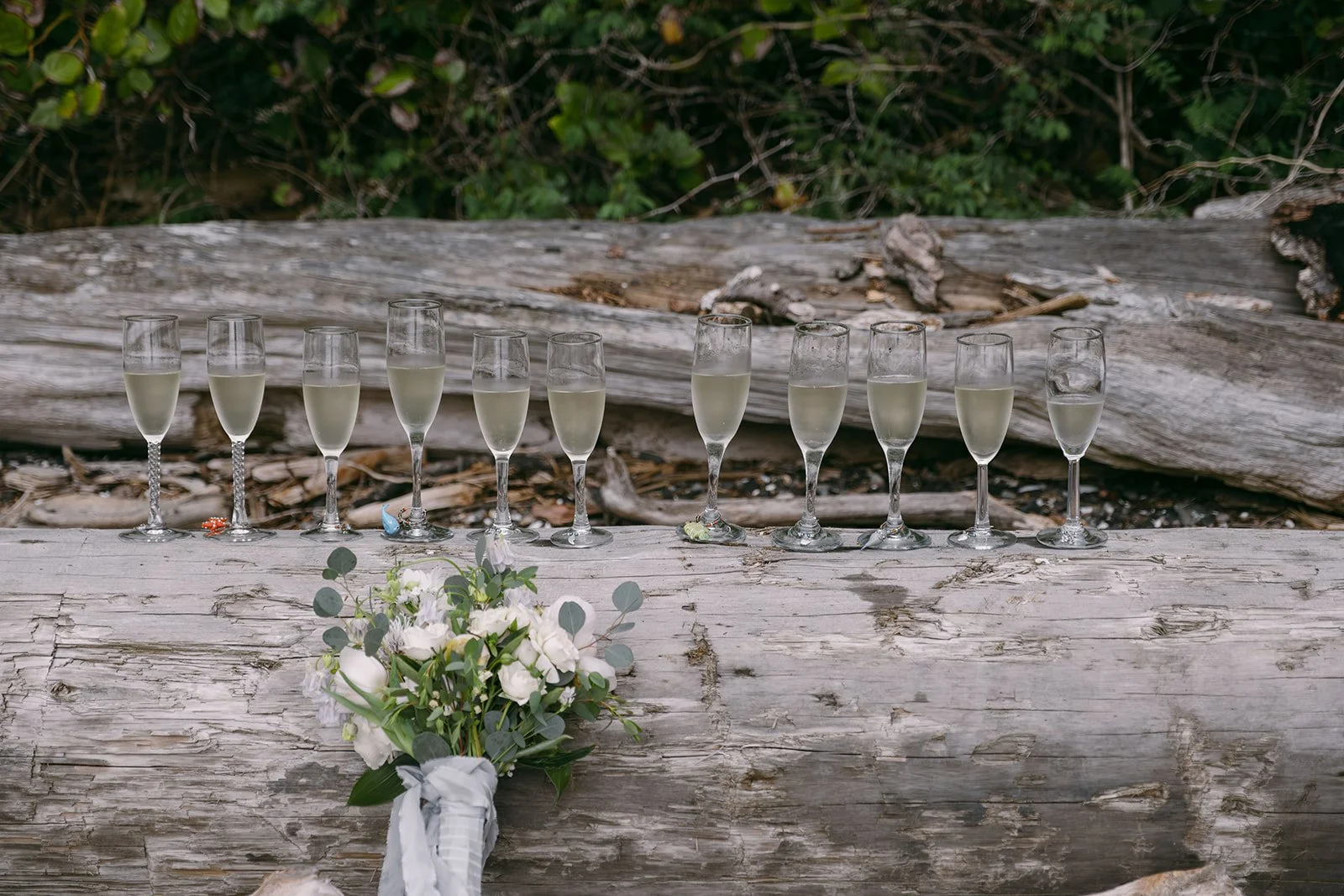 Kat&Carl-CypressIsland-WildCoastPhotography-321.jpg
