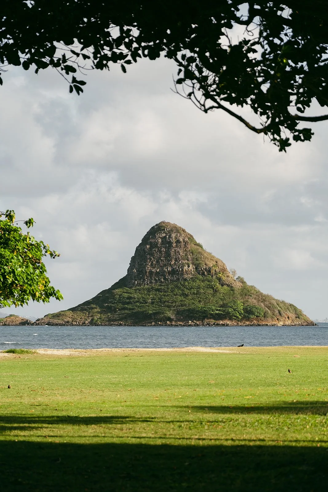 Reagan+Michael-Oahu-Hawaii-Elopement-10.jpg