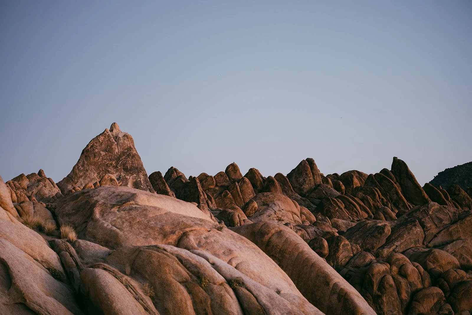 Rock-climbing-elopement-9_websize.jpg