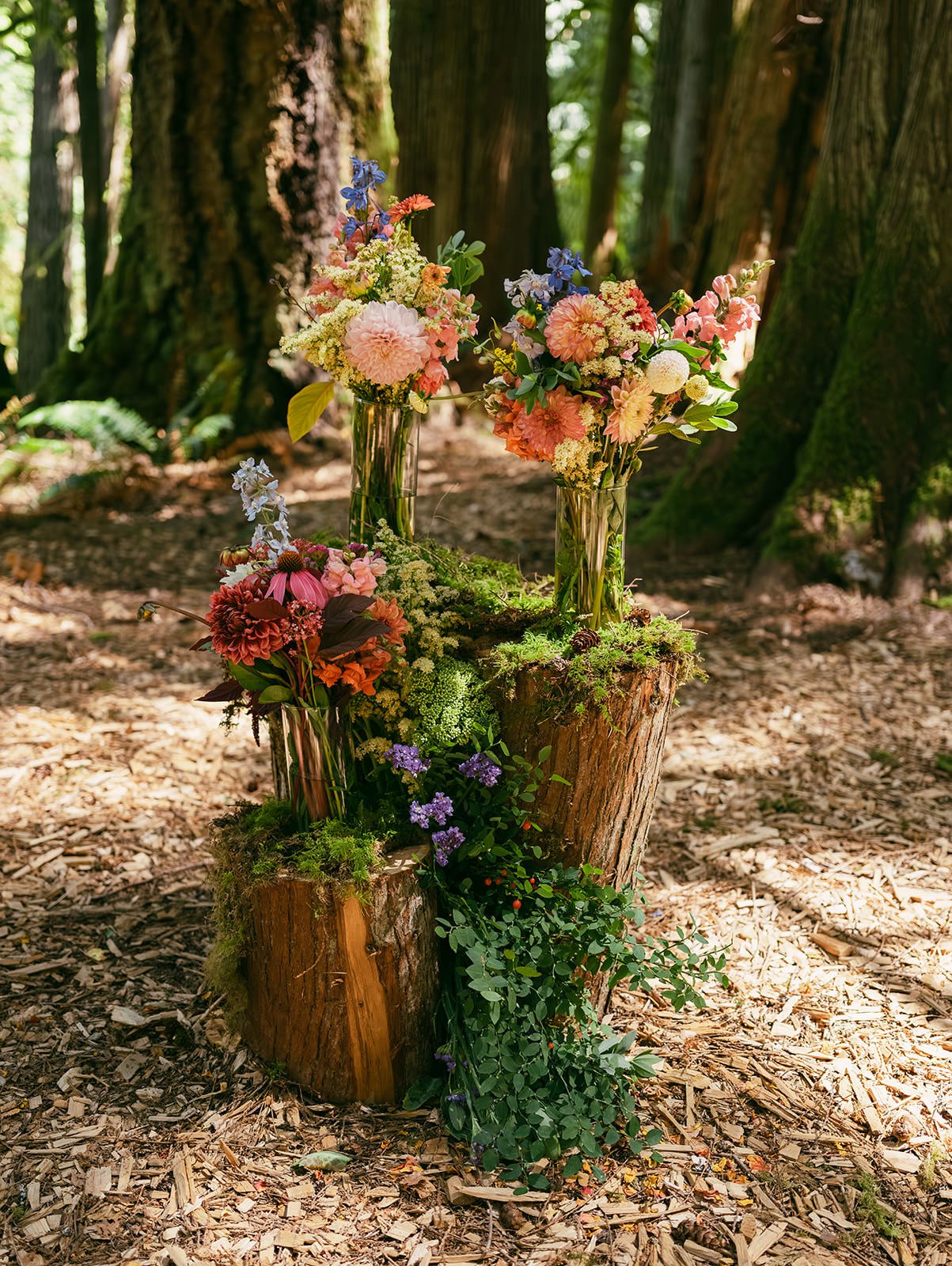 Jess&Pete-MoonMountainLodge-Wedding-12.jpg
