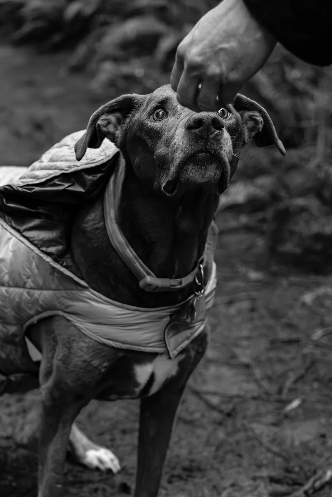 Coco-Family-Portraits-22_websize.jpg