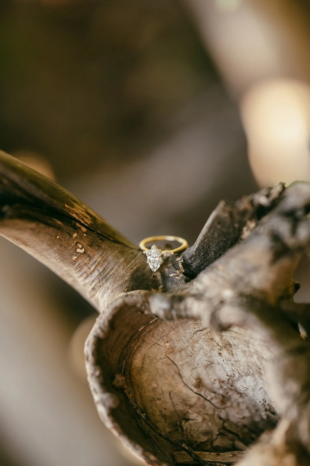 Flat Lay Wedding Detail Photos