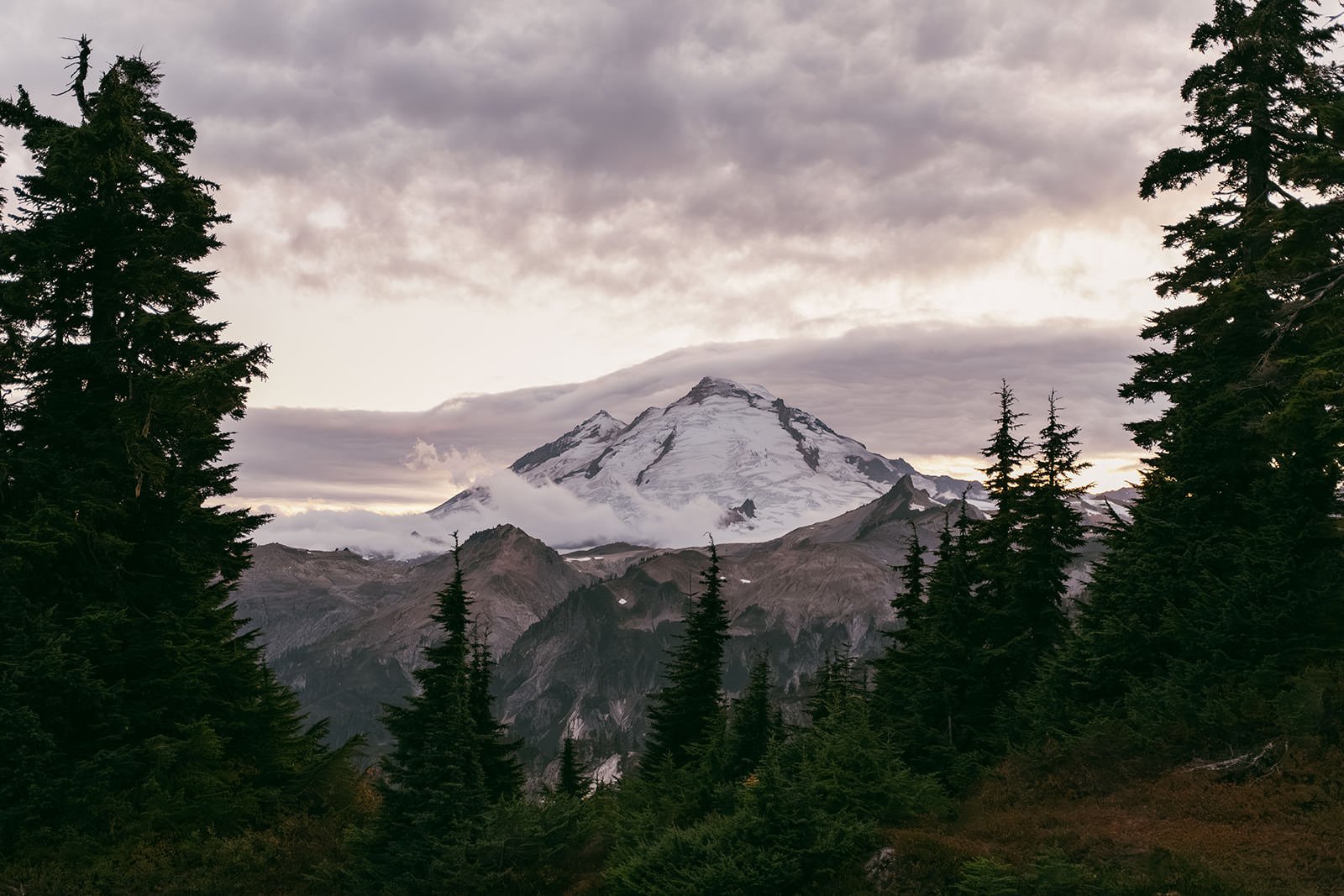 A&J-Mount-Baker-Elopement-702.jpg