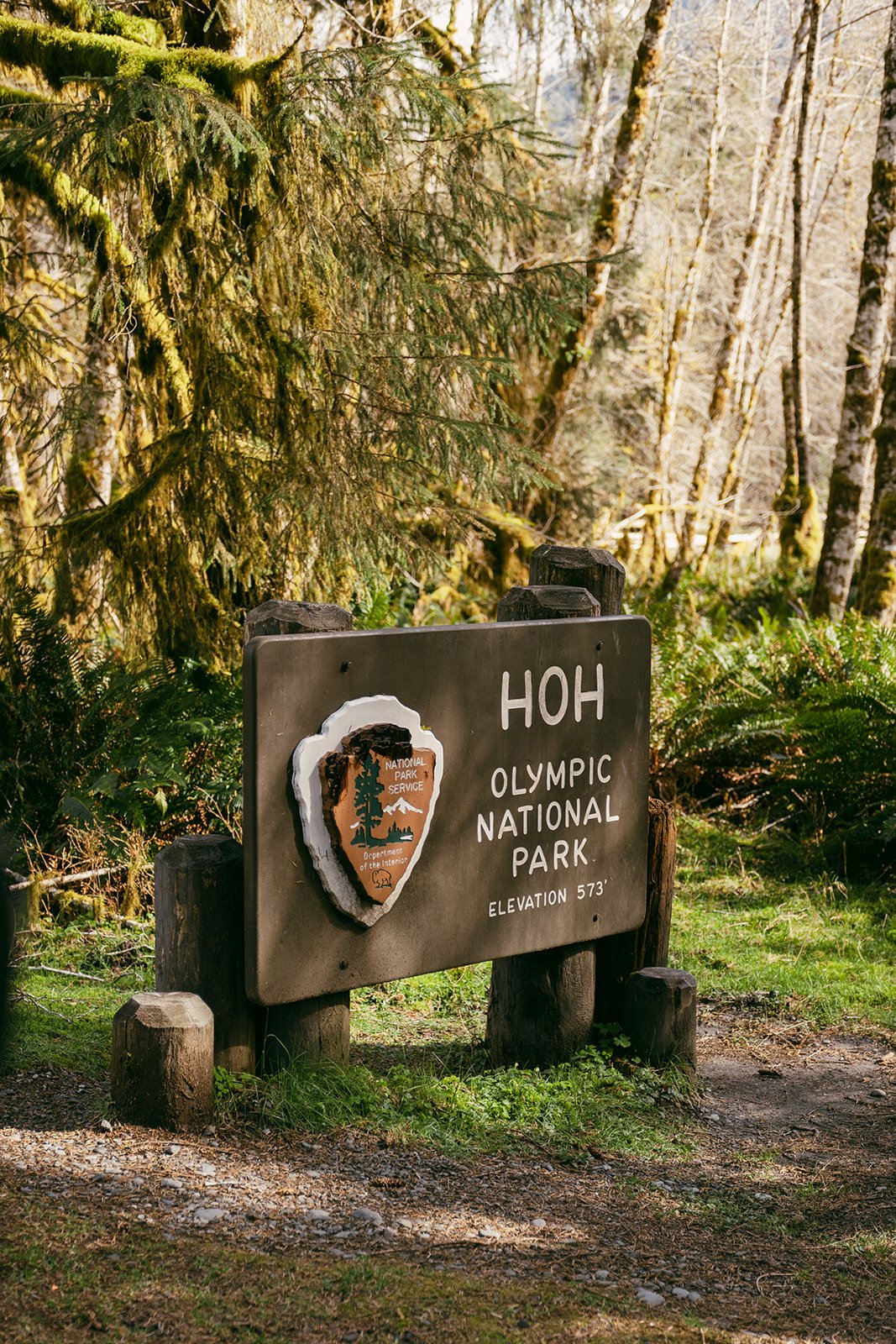 D&B-Olympic-National-Park-Elopement-14.jpg