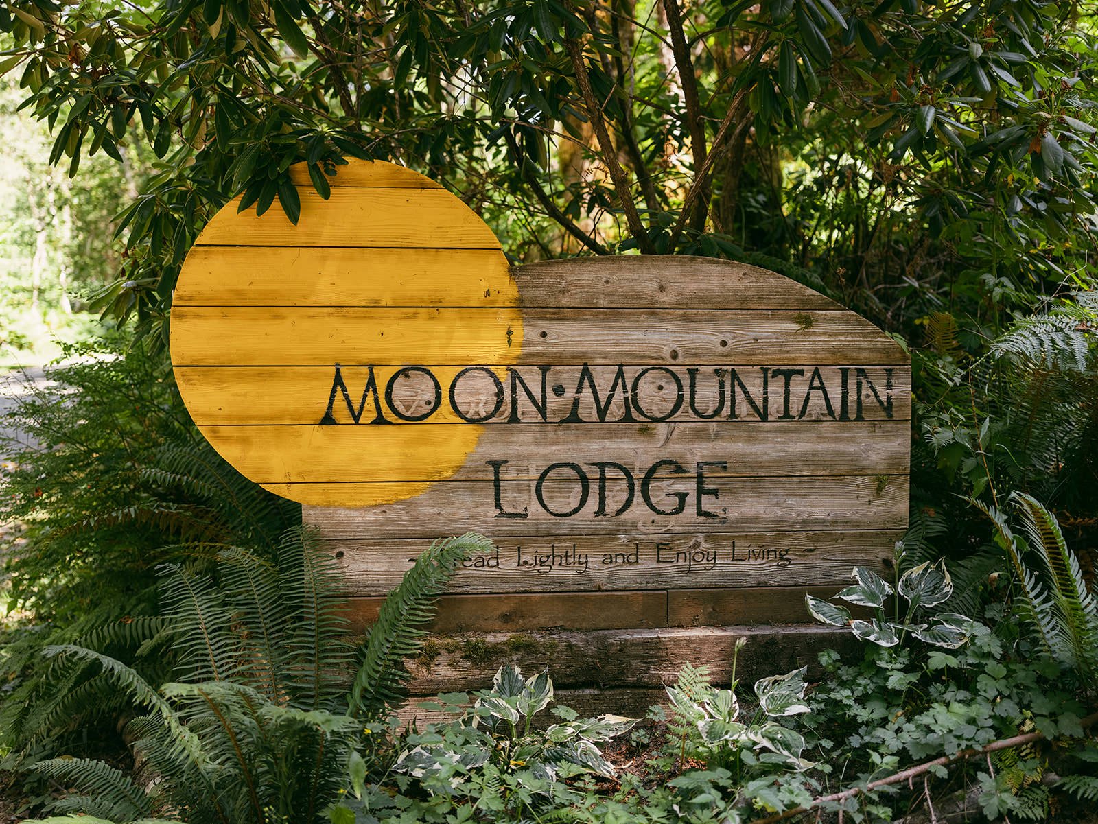 Jess&Pete-MoonMountainLodge-Wedding-2.jpg