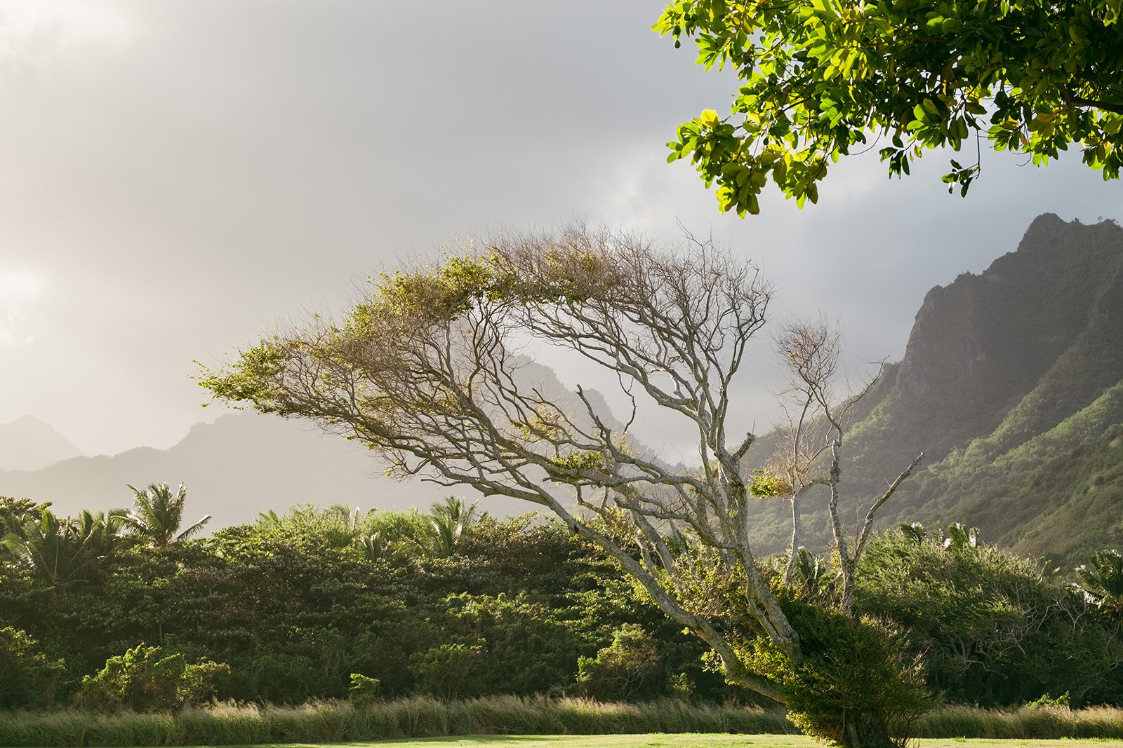 Reagan+Michael-Oahu-Hawaii-Elopement-11.jpg