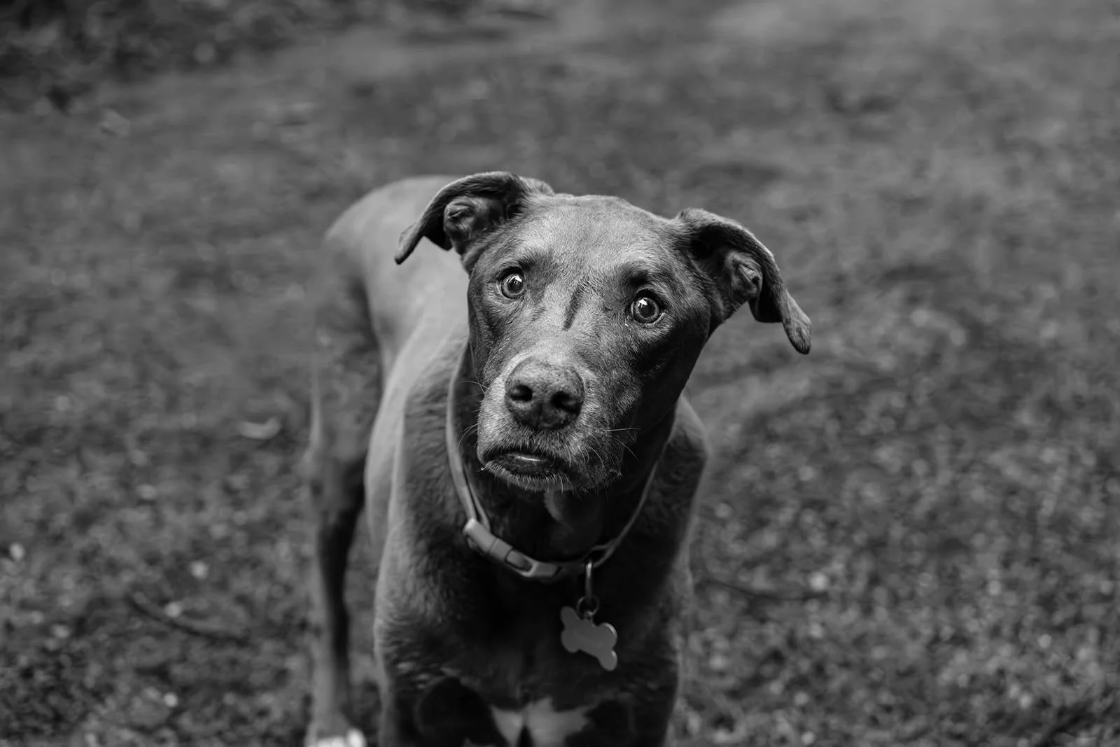 Coco-Family-Portraits-60_websize.jpg