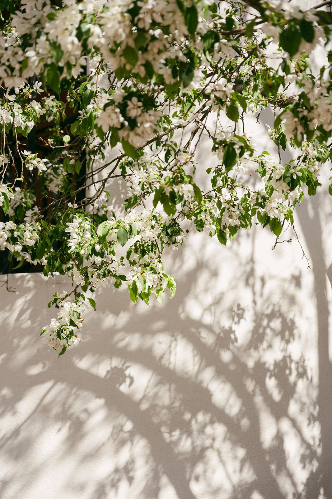 J&N-NewMexico-Elopement-432.jpg