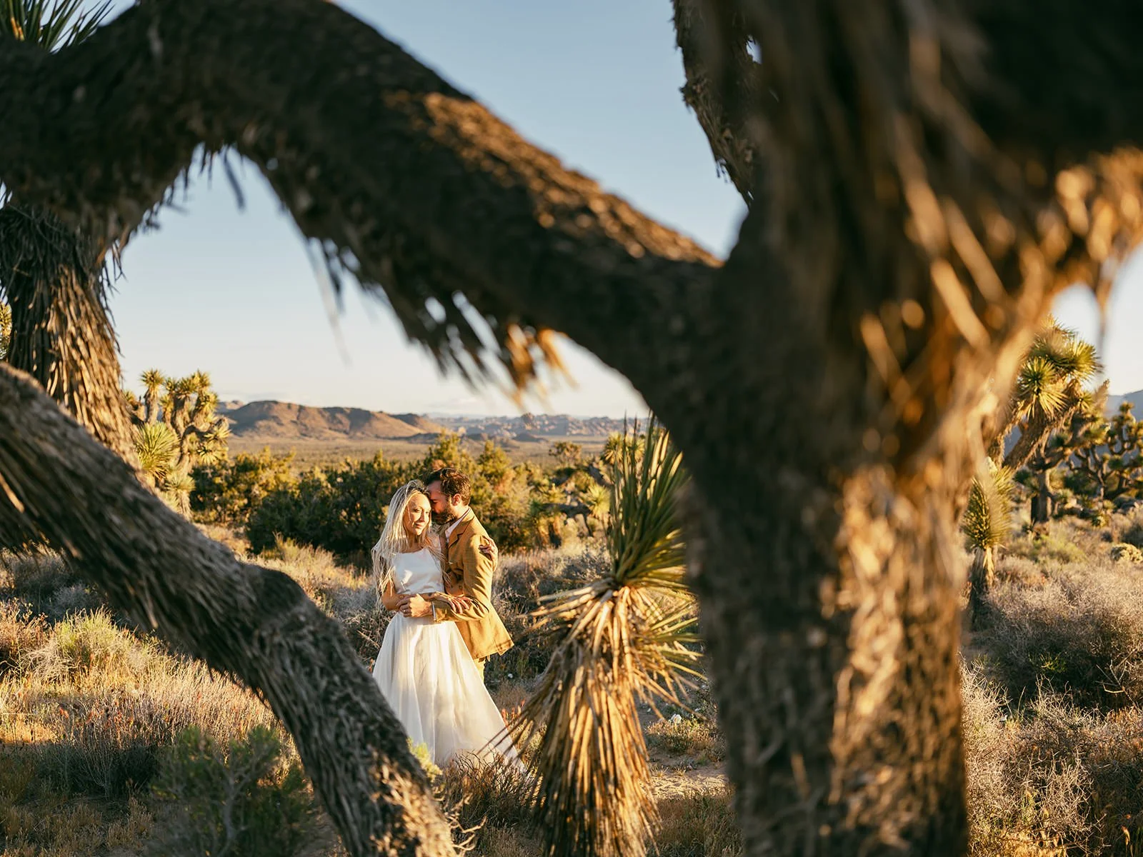 Joshua-Tree-Elopement-Photography-217.jpg
