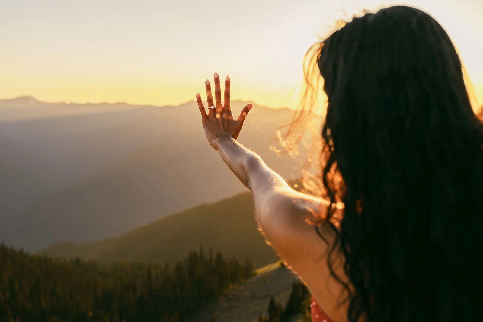 M&B-Proposal-Olympic-National-Park-201.jpg