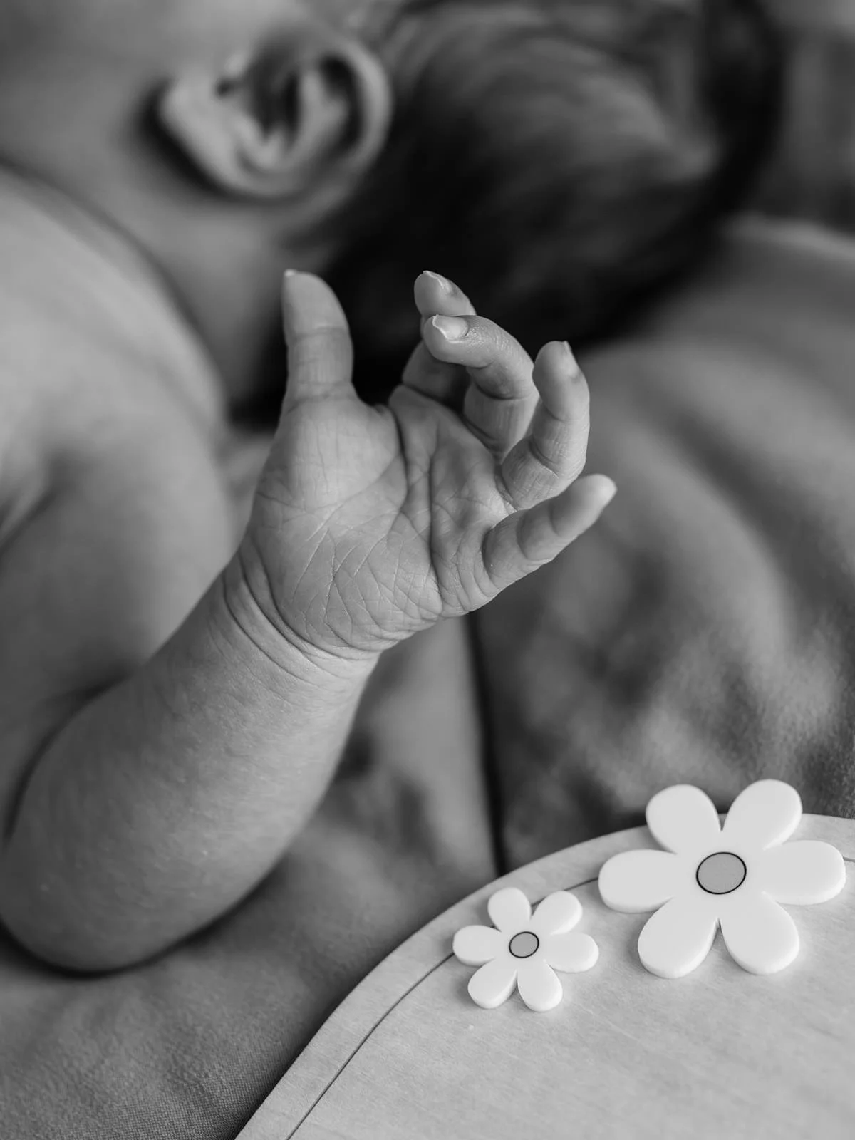 Family-Photos-1Month-9.jpg