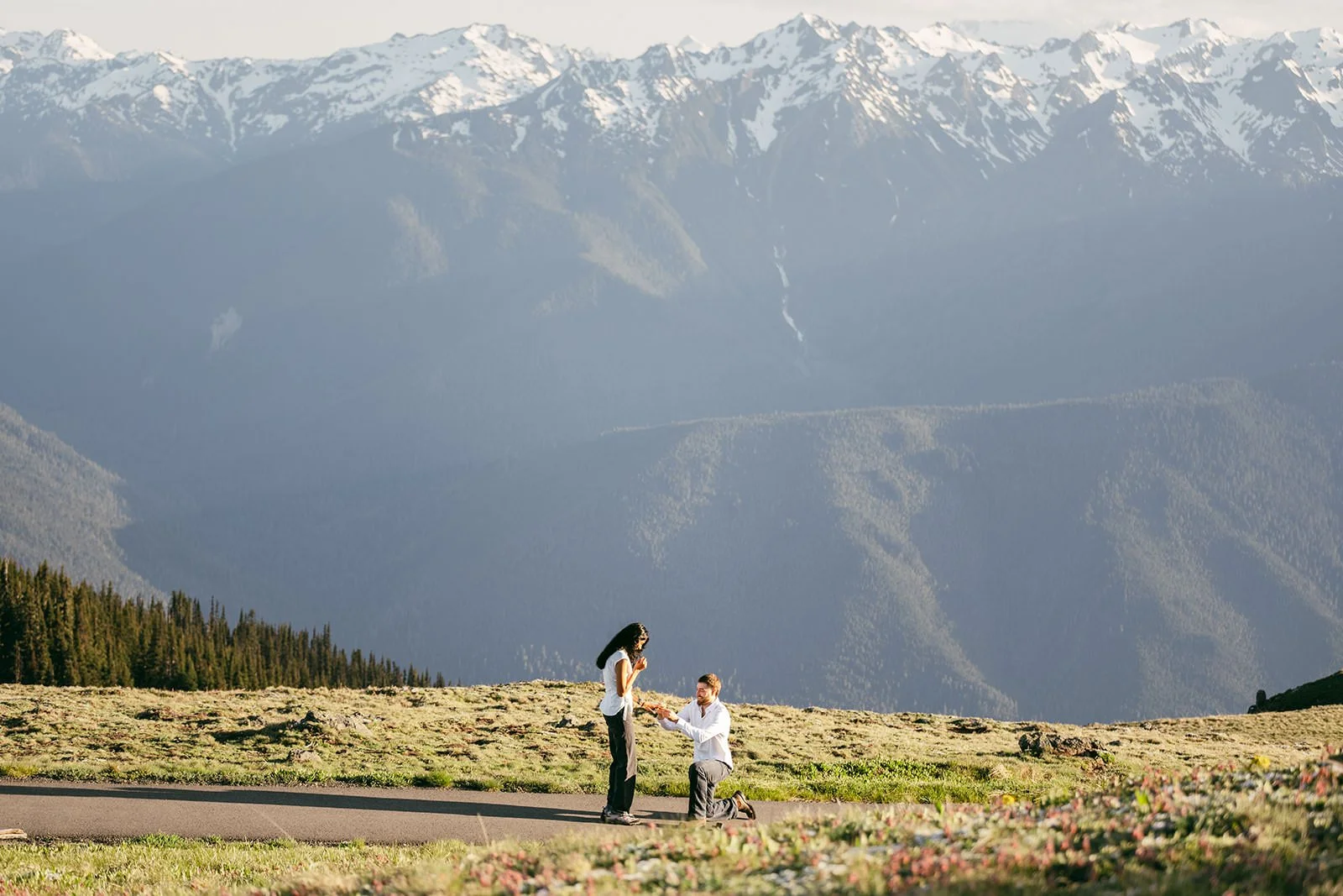 M&B-Proposal-Olympic-National-Park-27.jpg