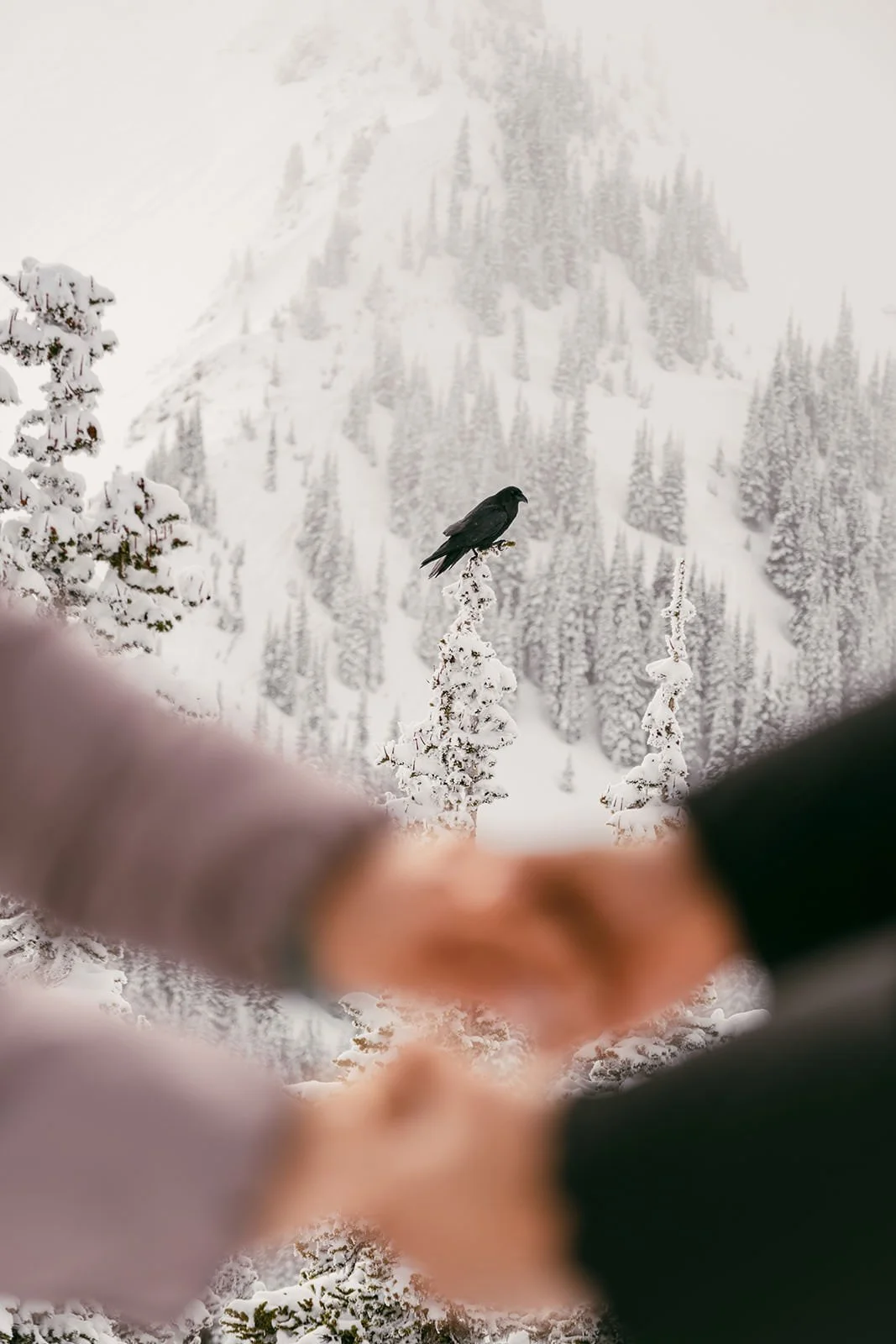 DJ-Crystal-Mountain-Proposal-305_websize.jpg