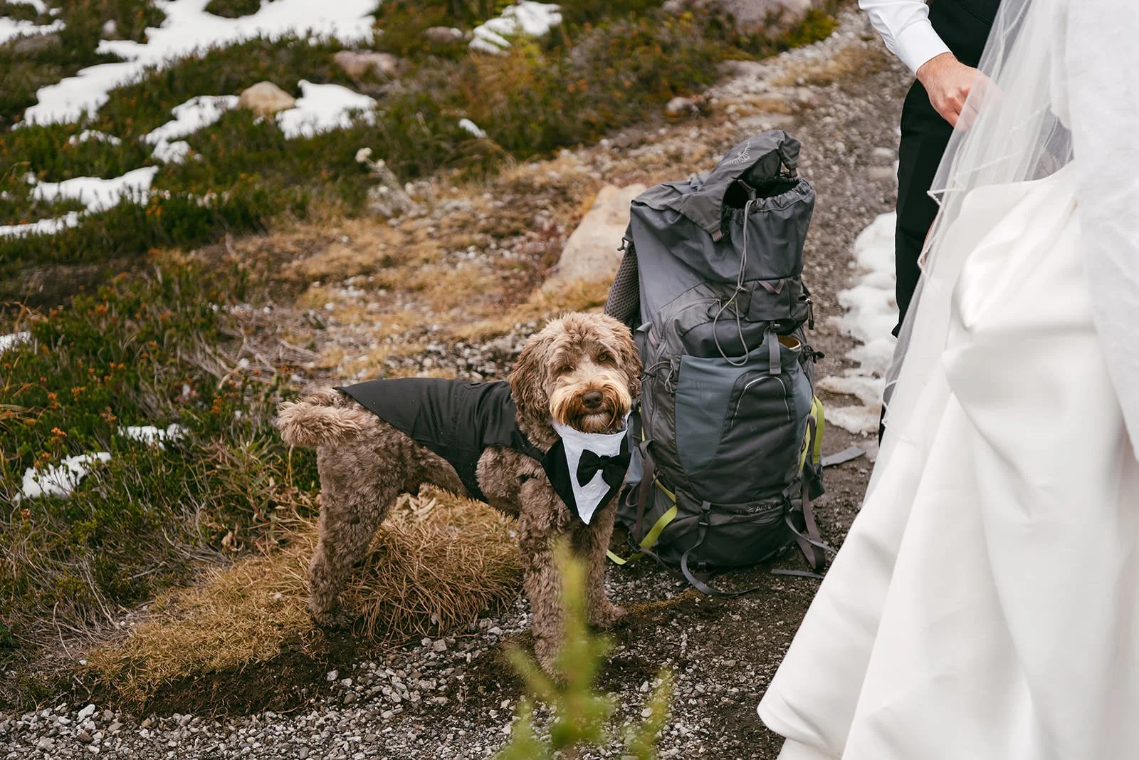 Ceinwen&Christopher-Elopement-121.jpg
