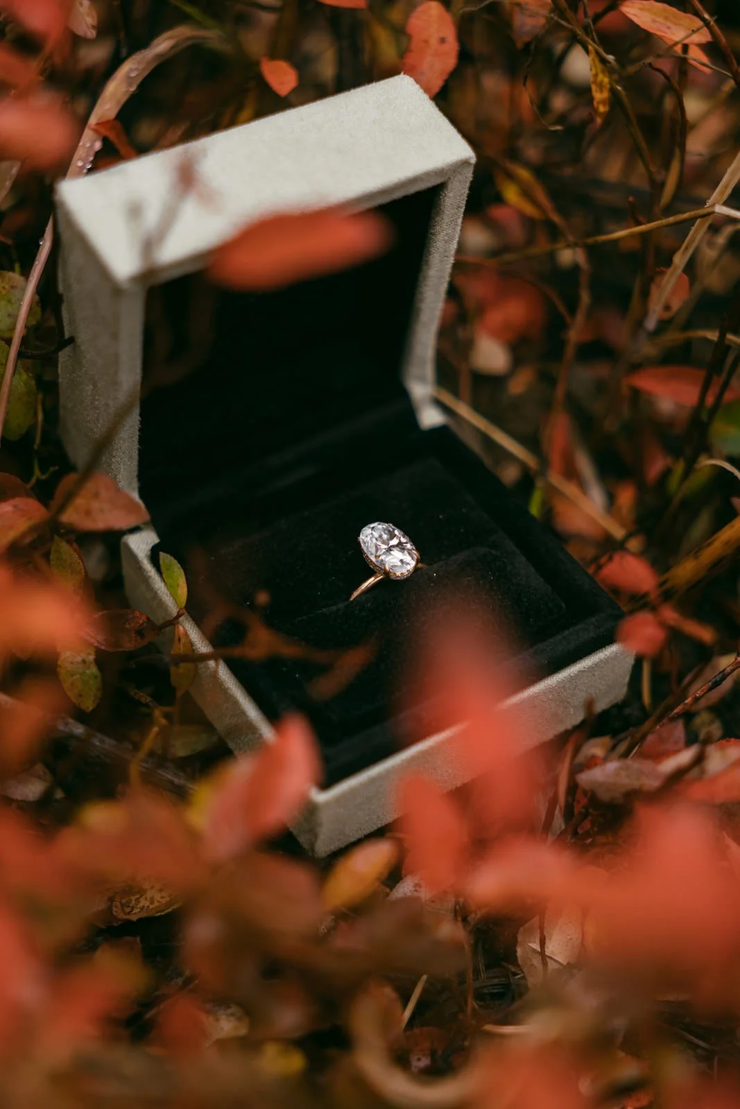 Tabby-Hayden-Engagement-139.jpg