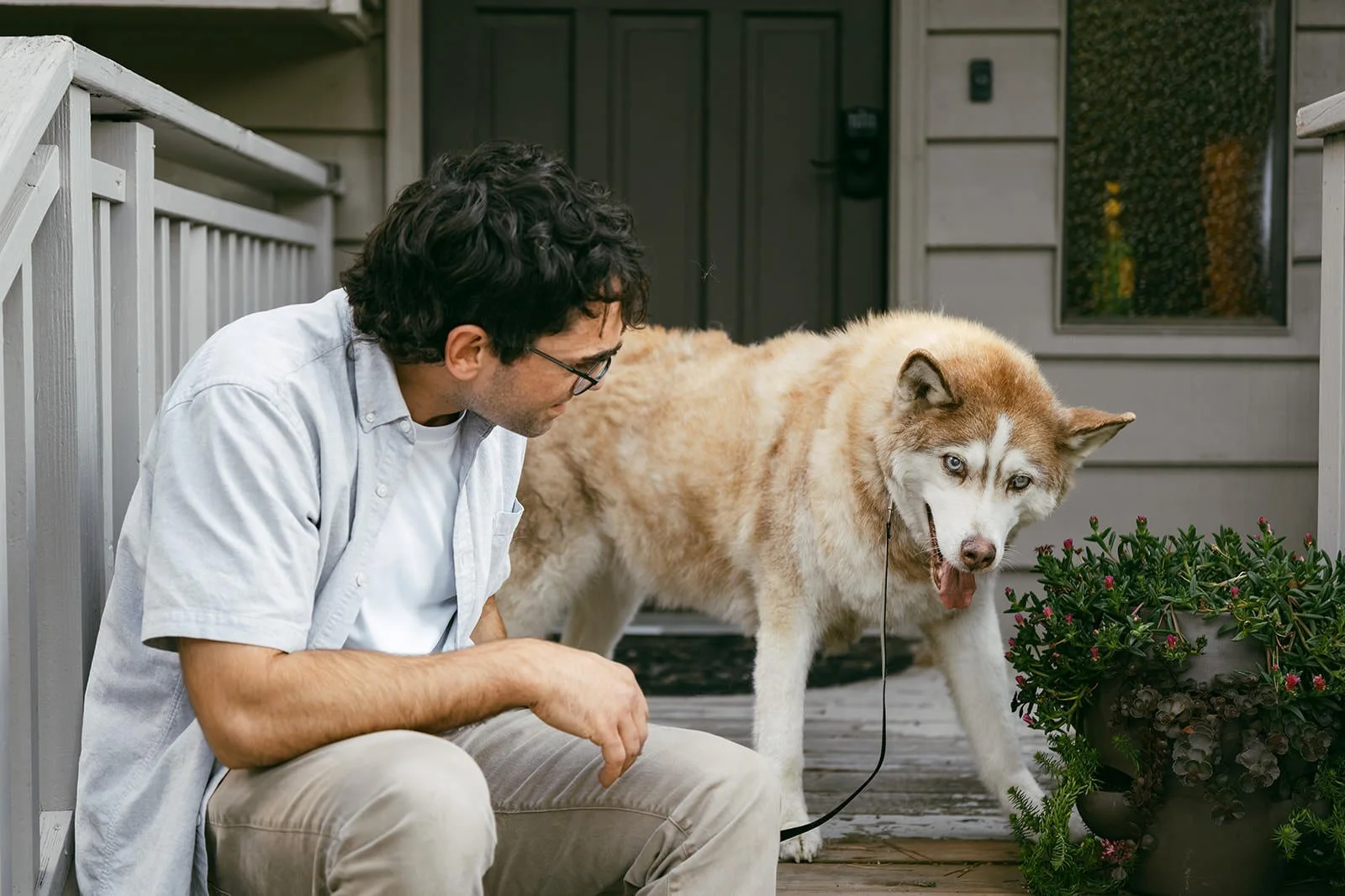 Aspen-Senior-Pet-Session-26.jpg