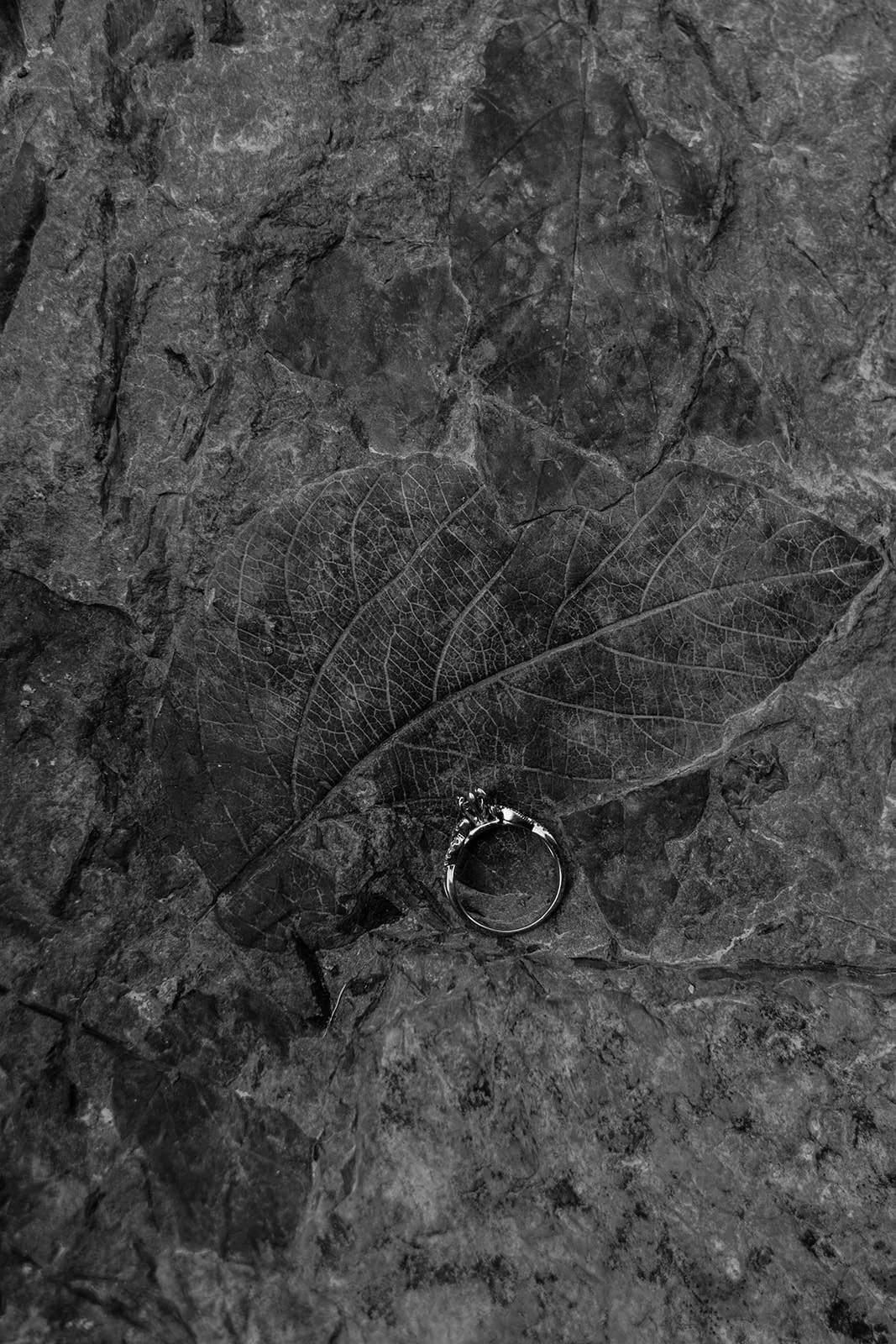 Mount-Baker-Engagement-60.jpg