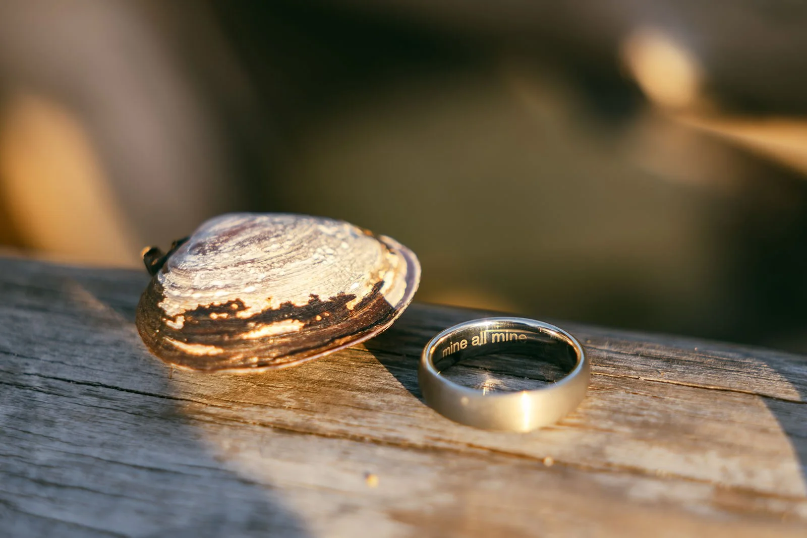 Lucian&Tayler-Engagement-152.jpg