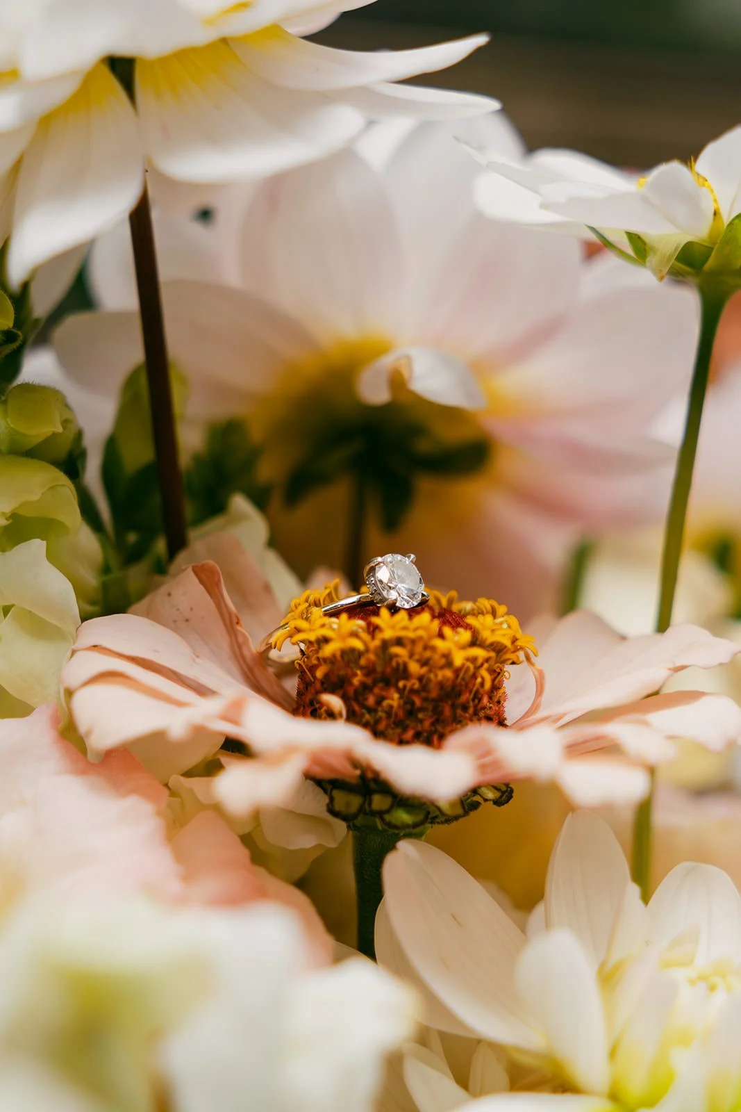 A&J-Mount-Baker-Elopement-127.jpg
