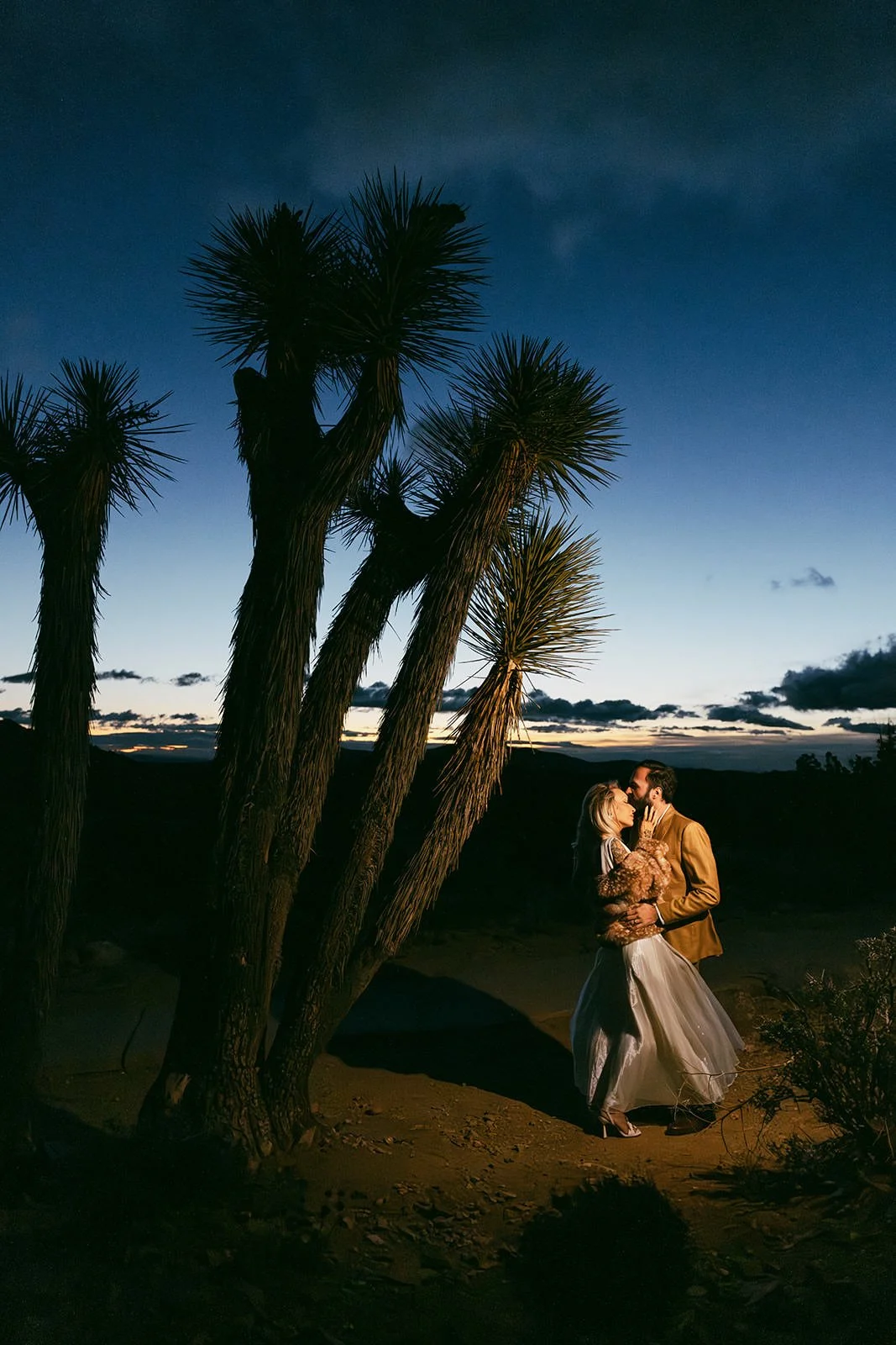 Joshua-Tree-Elopement-Photography-13.jpg