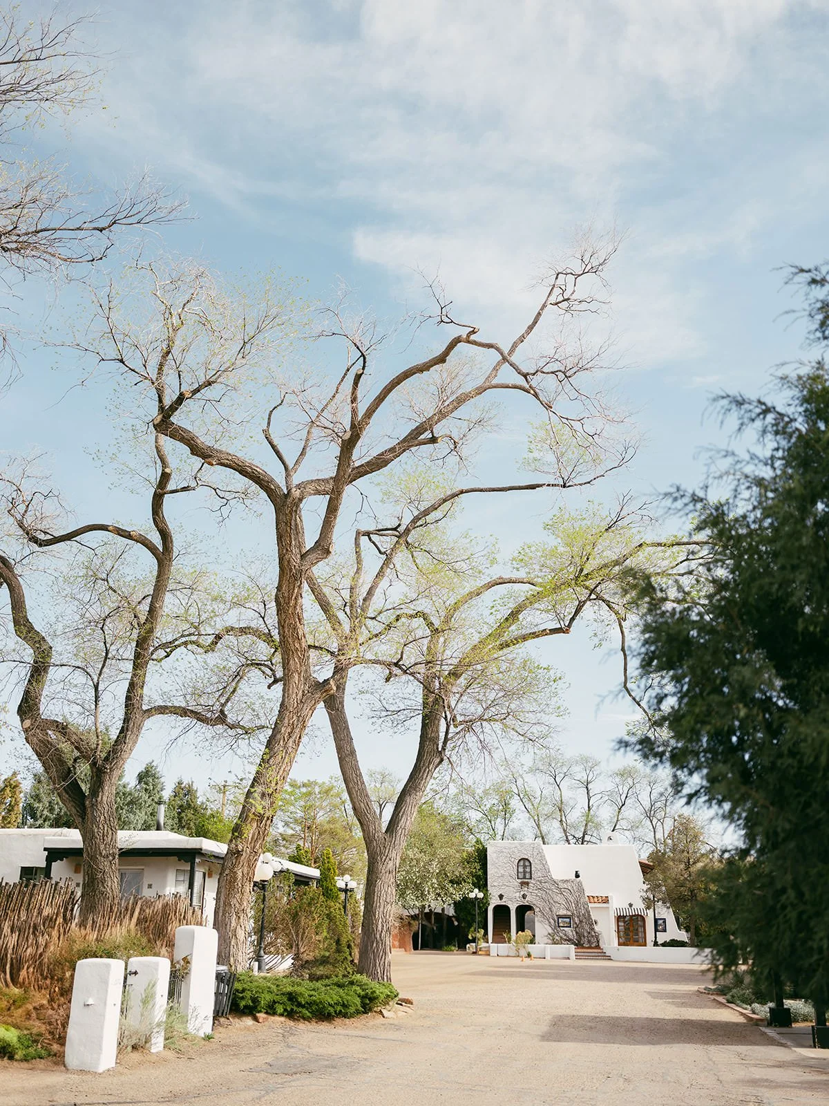 J&N-NewMexico-Elopement-516.jpg