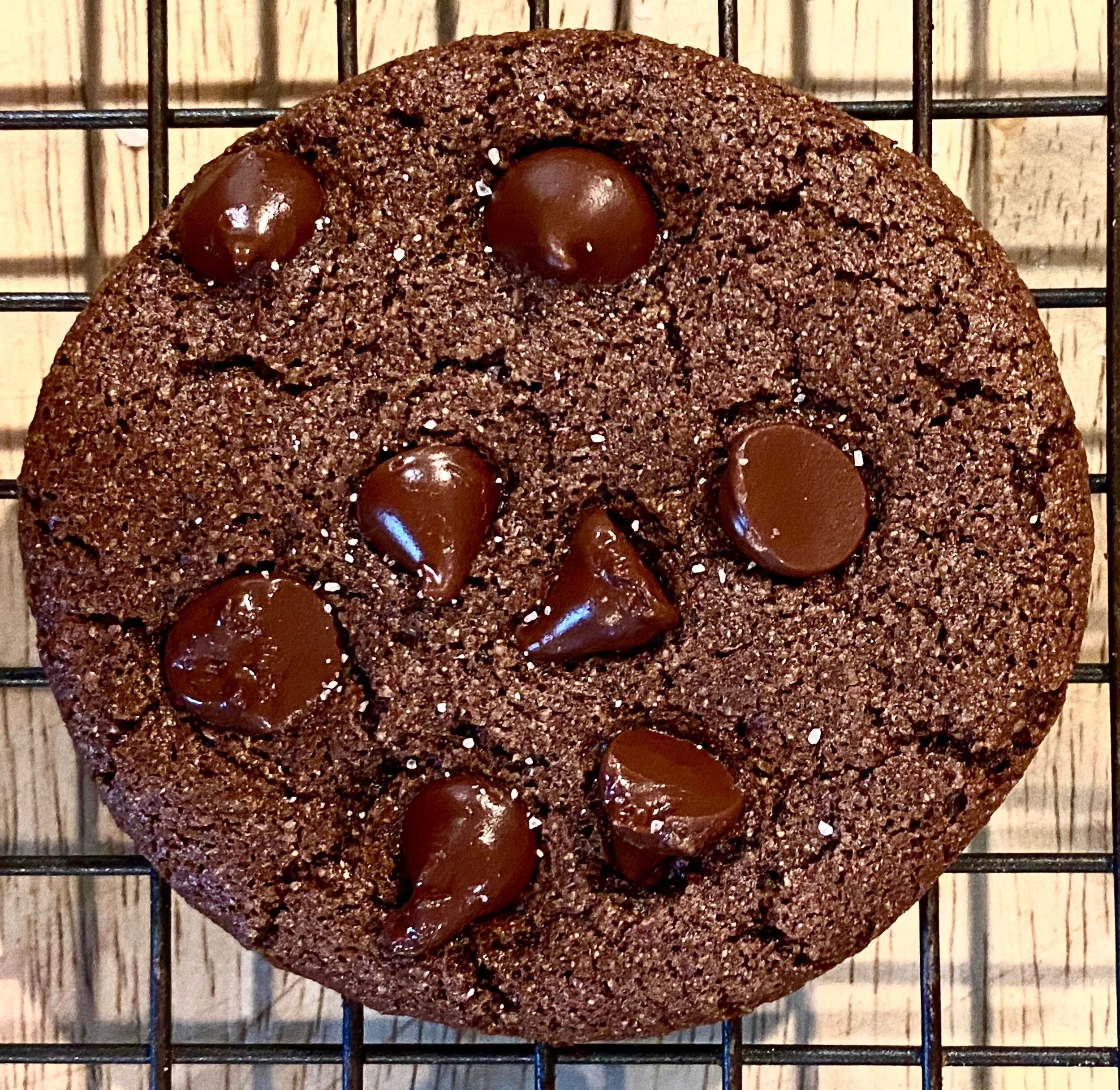 Salted Chocolate Chocolate Chip Cookies (Dairy-Free, Grain-Free, Egg-Free)