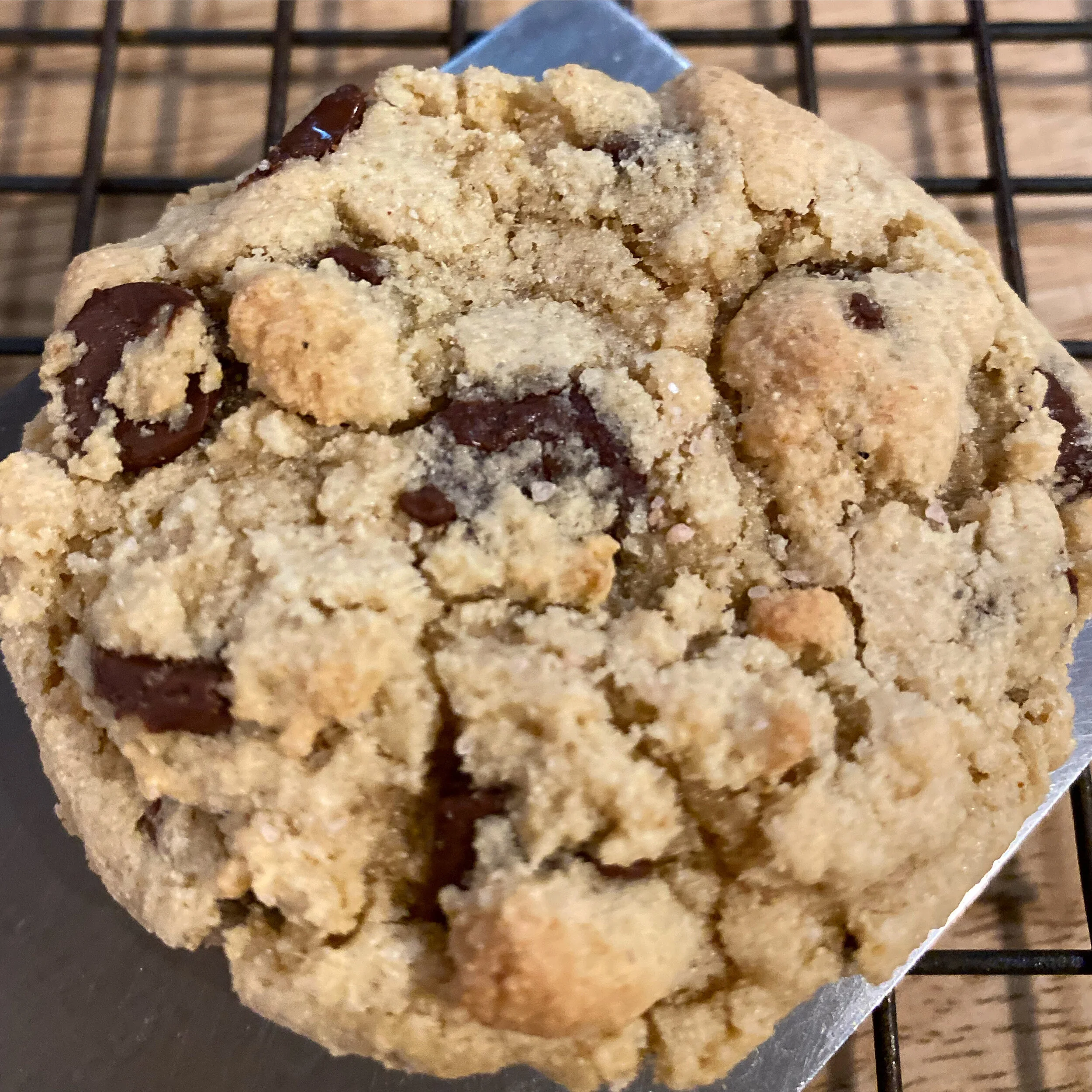 Grain-Free Chocolate Chip Cookies
